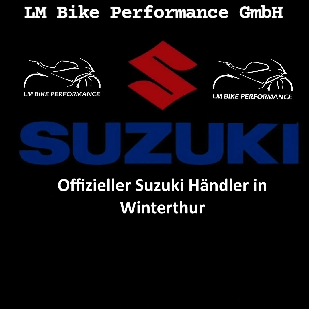 SUZUKI GSX-S 1000 GX Travel-image-12