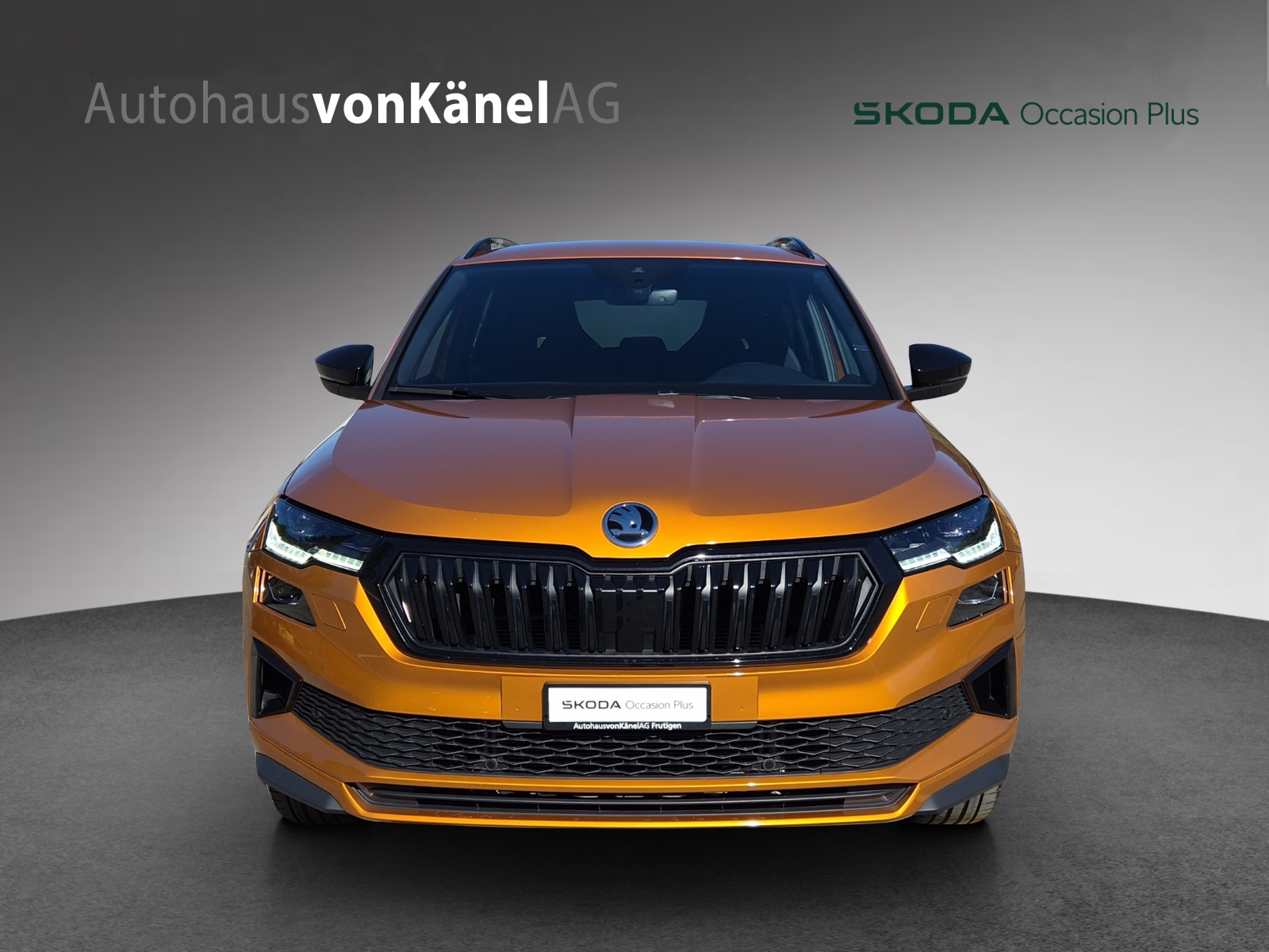 SKODA Karoq 1.5 TSI SportLine DSG-showroom-element-2