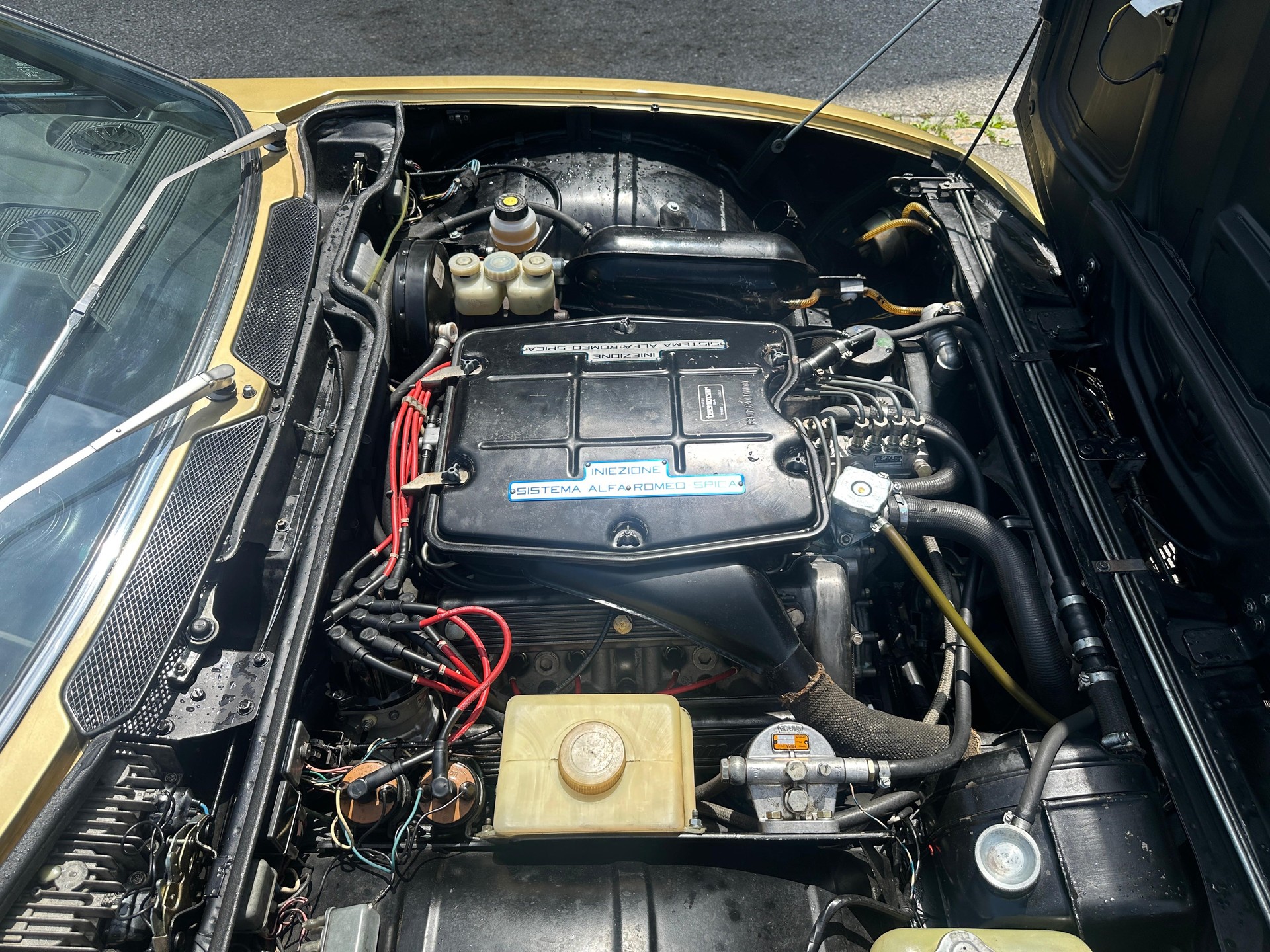 ALFA ROMEO MONTREAL-image-7