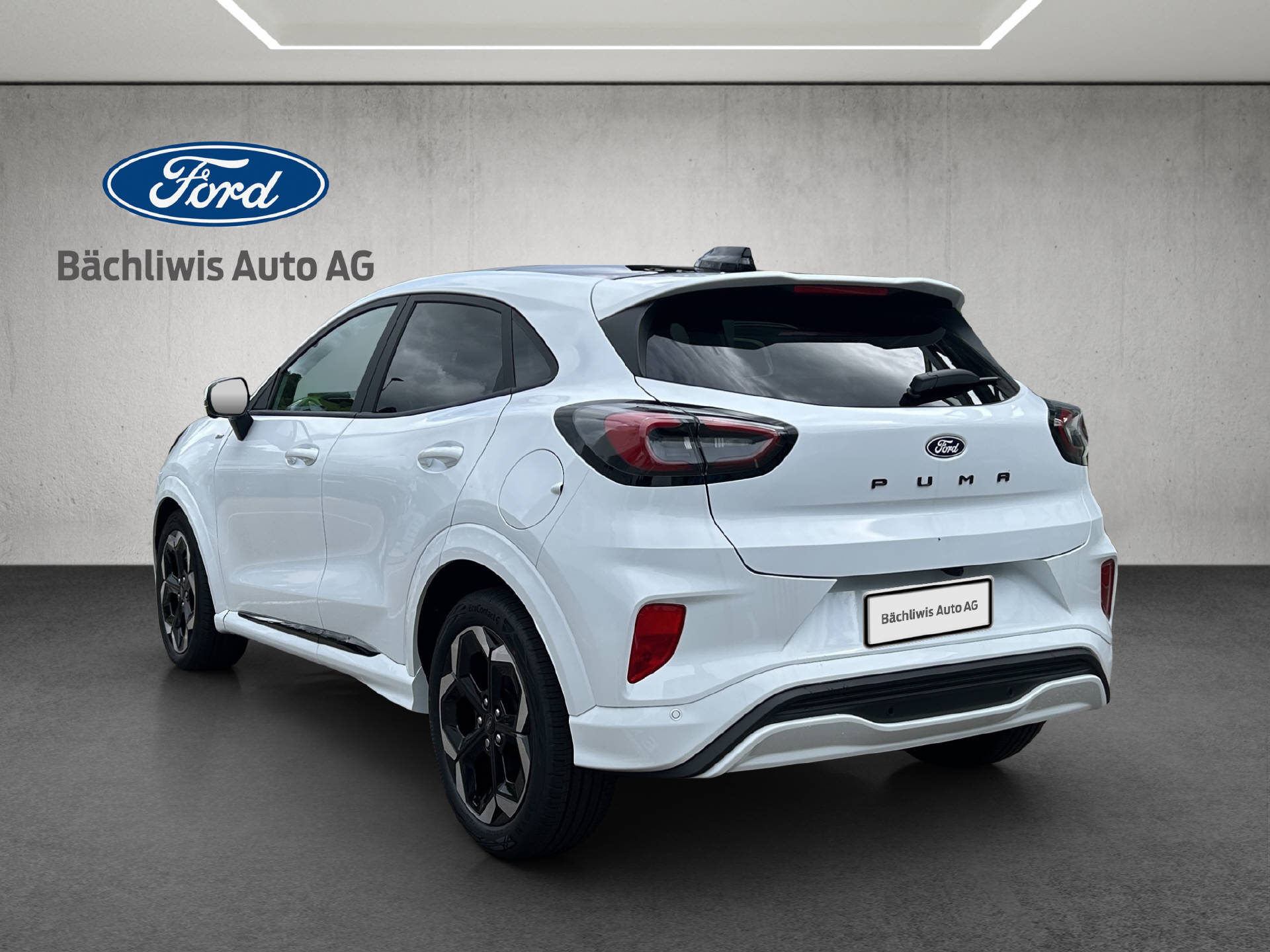 FORD Puma 1.0 EcoB Hybrid 125 ST-Line X-showroom-element-2