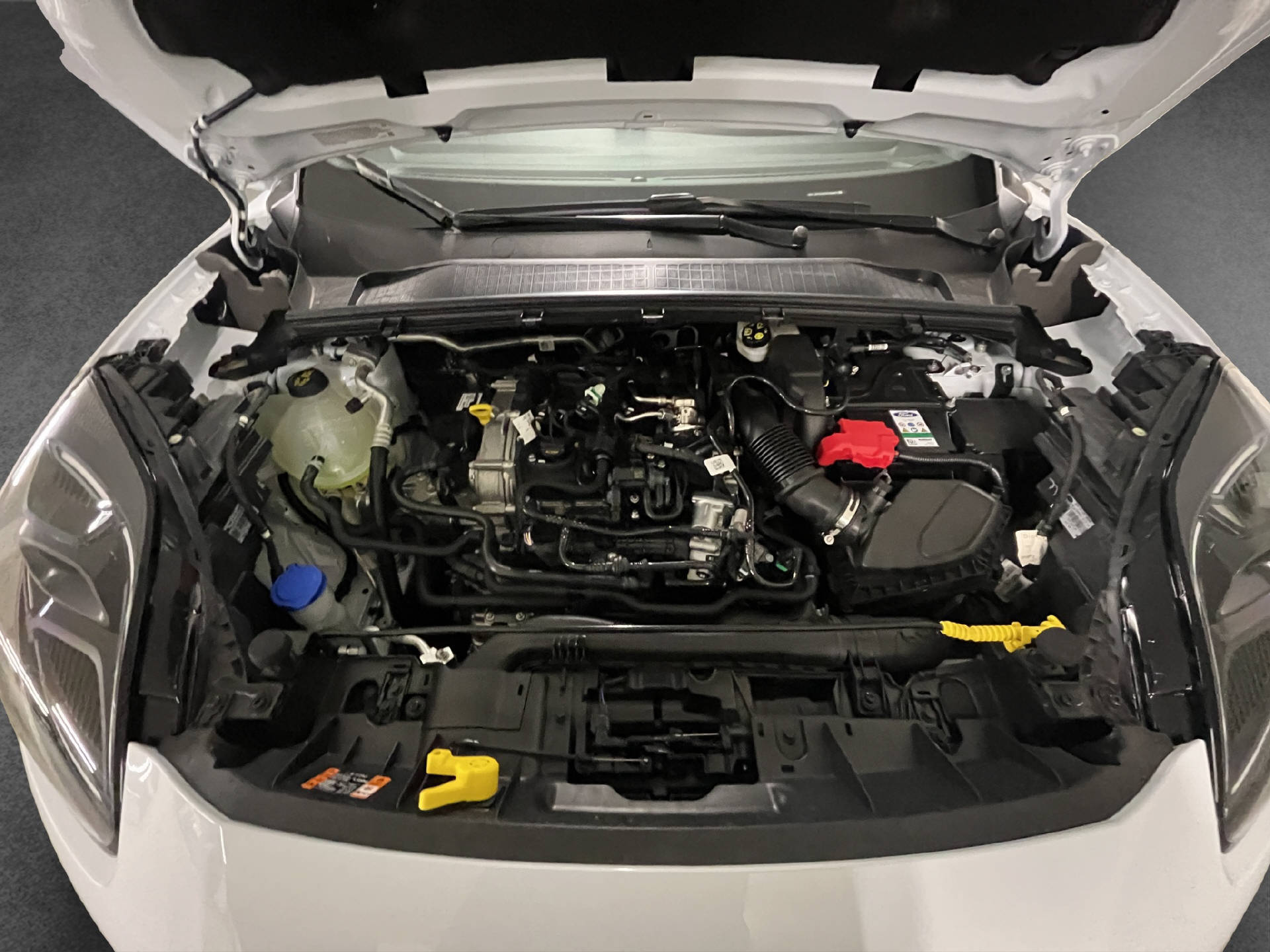 FORD Puma 1.0 EcoB Hybrid 125 ST-Line X-image-21