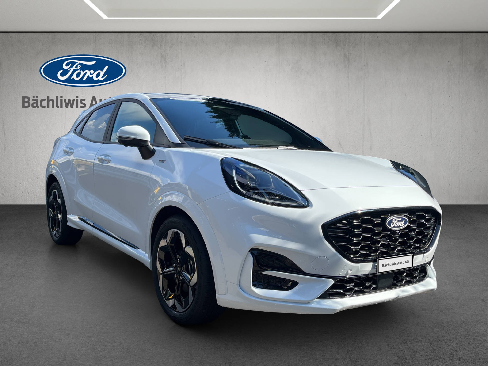 FORD Puma 1.0 EcoB Hybrid 125 ST-Line X-image-6