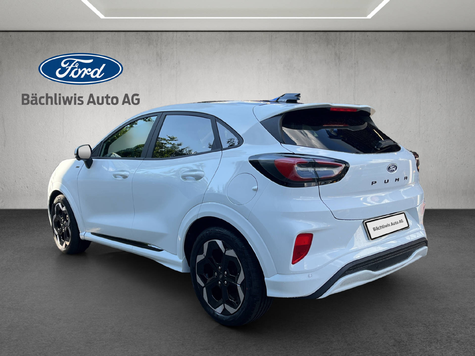 FORD Puma 1.0 EcoB Hybrid 125 ST-Line X-showroom-element-2
