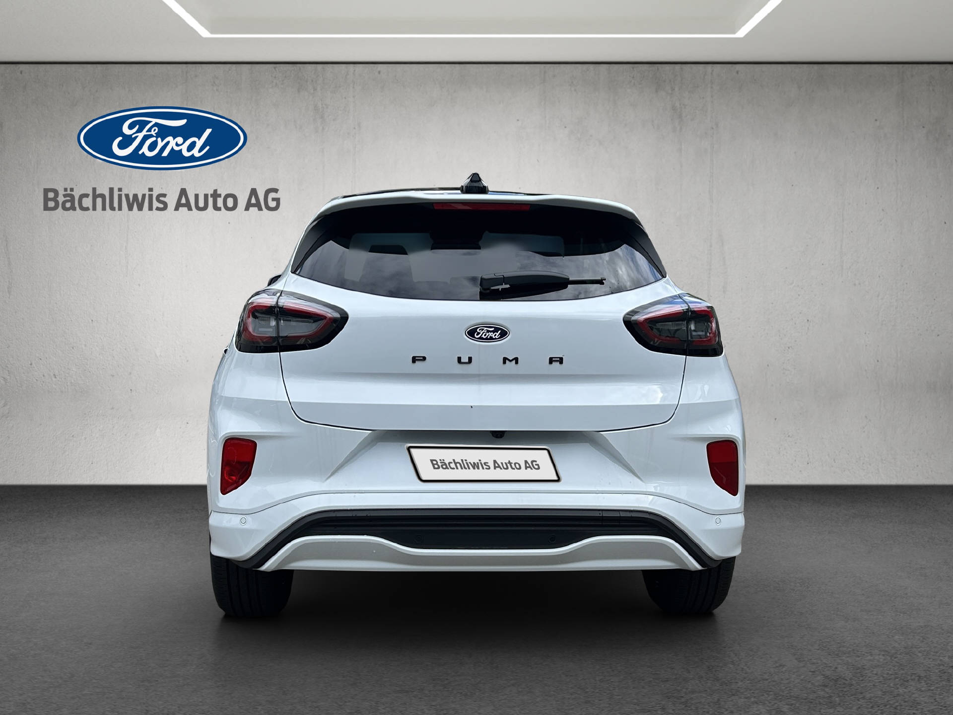 FORD Puma 1.0 EcoB Hybrid 125 ST-Line X-showroom-element-3