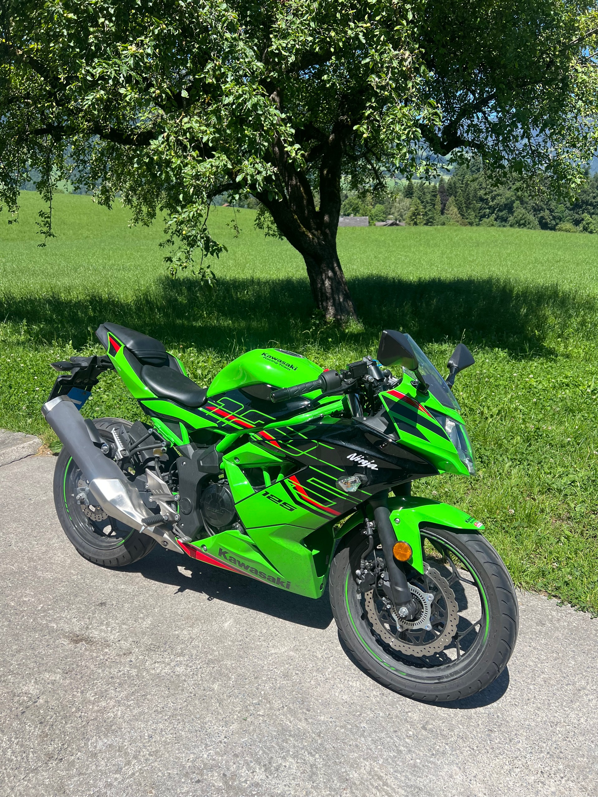 KAWASAKI Ninja 125-image-1
