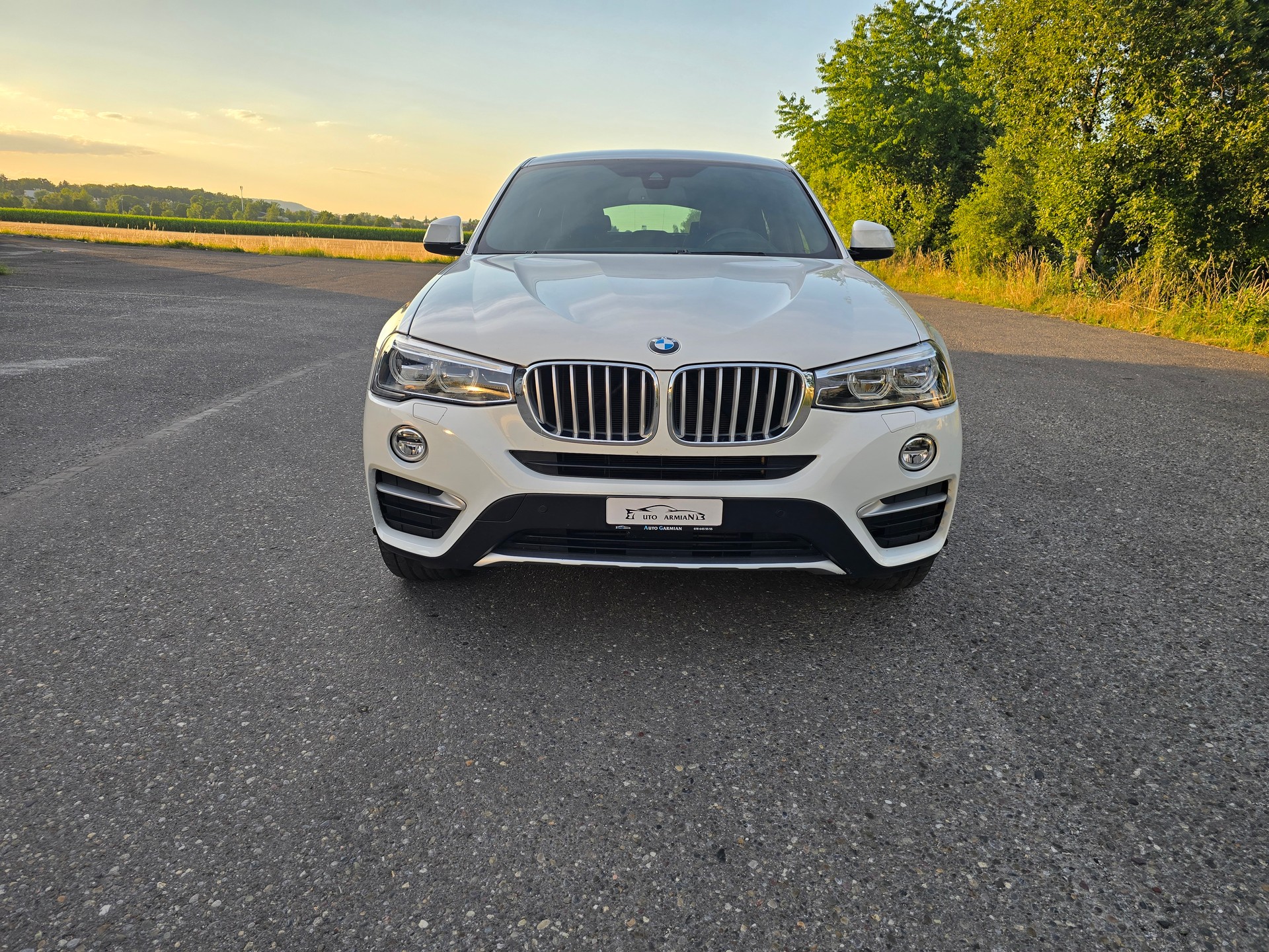 BMW X4 xDrive 20d xLine Steptronic