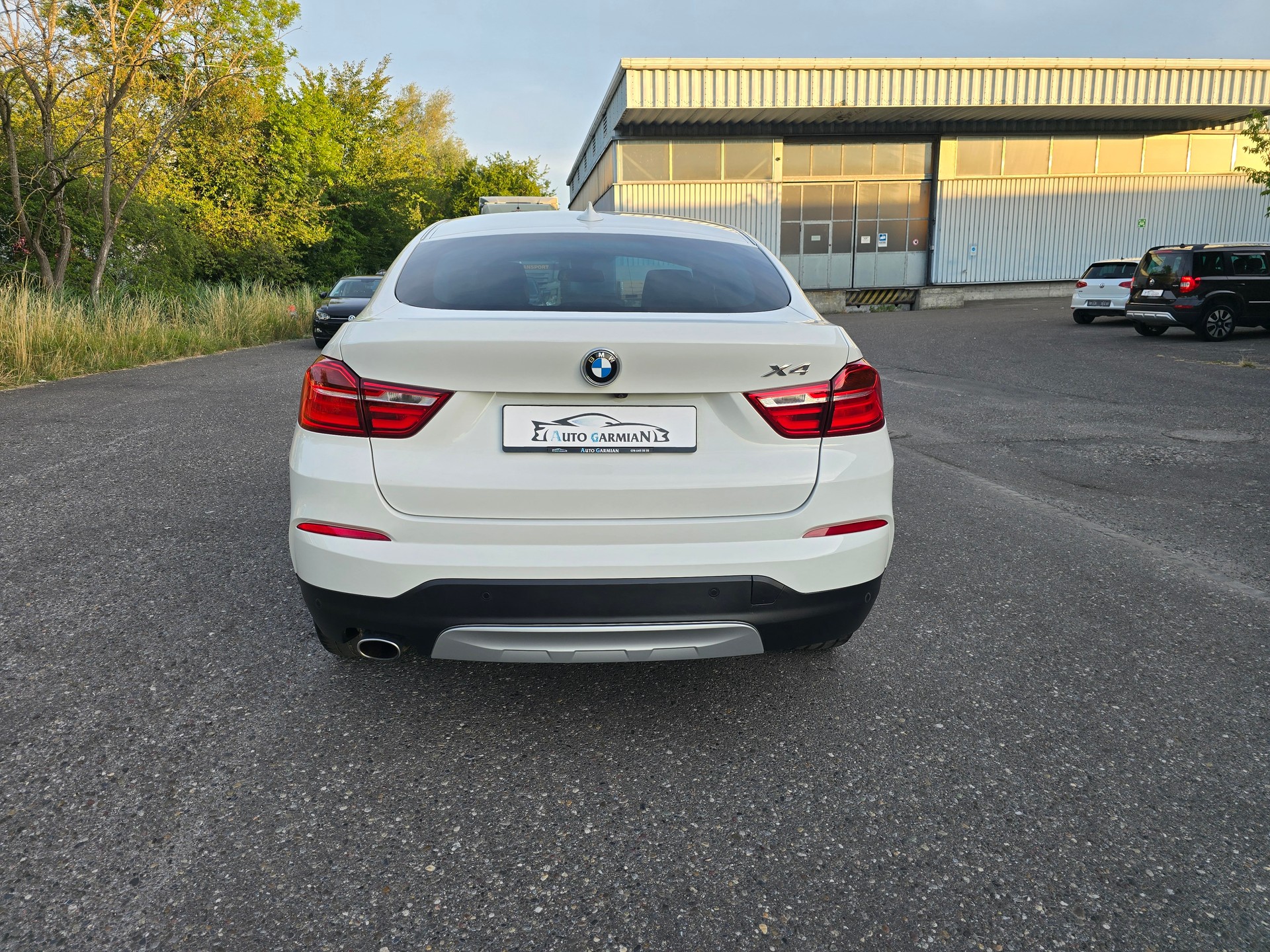 BMW X4 xDrive 20d xLine Steptronic-showroom-element-3