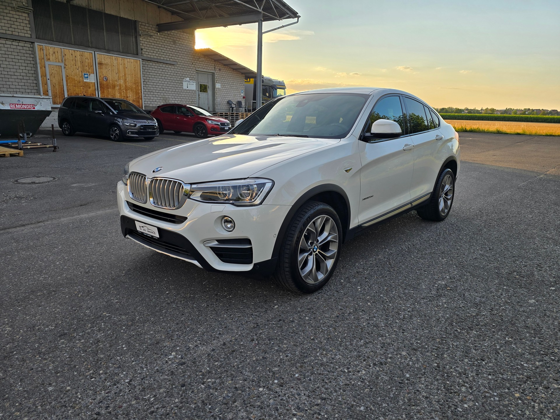 BMW X4 xDrive 20d xLine Steptronic-showroom-element-2