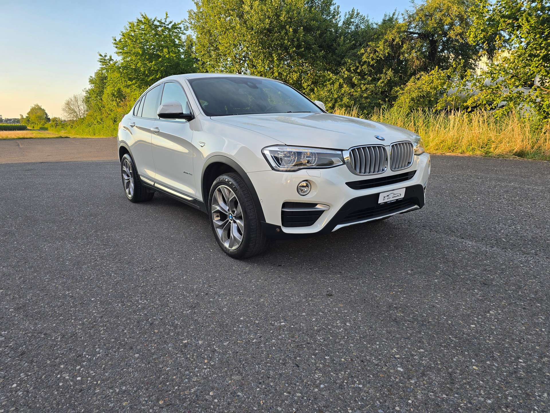 BMW X4 xDrive 20d xLine Steptronic-showroom-element-1
