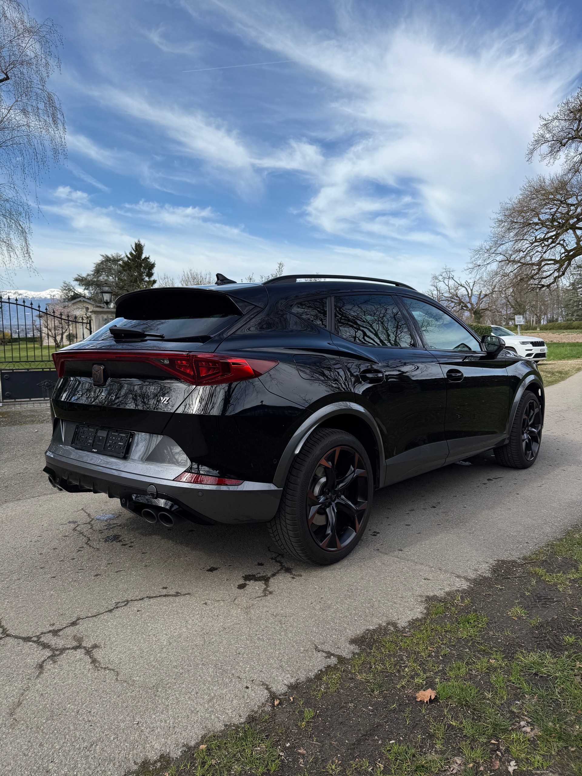CUPRA Formentor 2.0TSI VZ 4Drive DSG-image-6