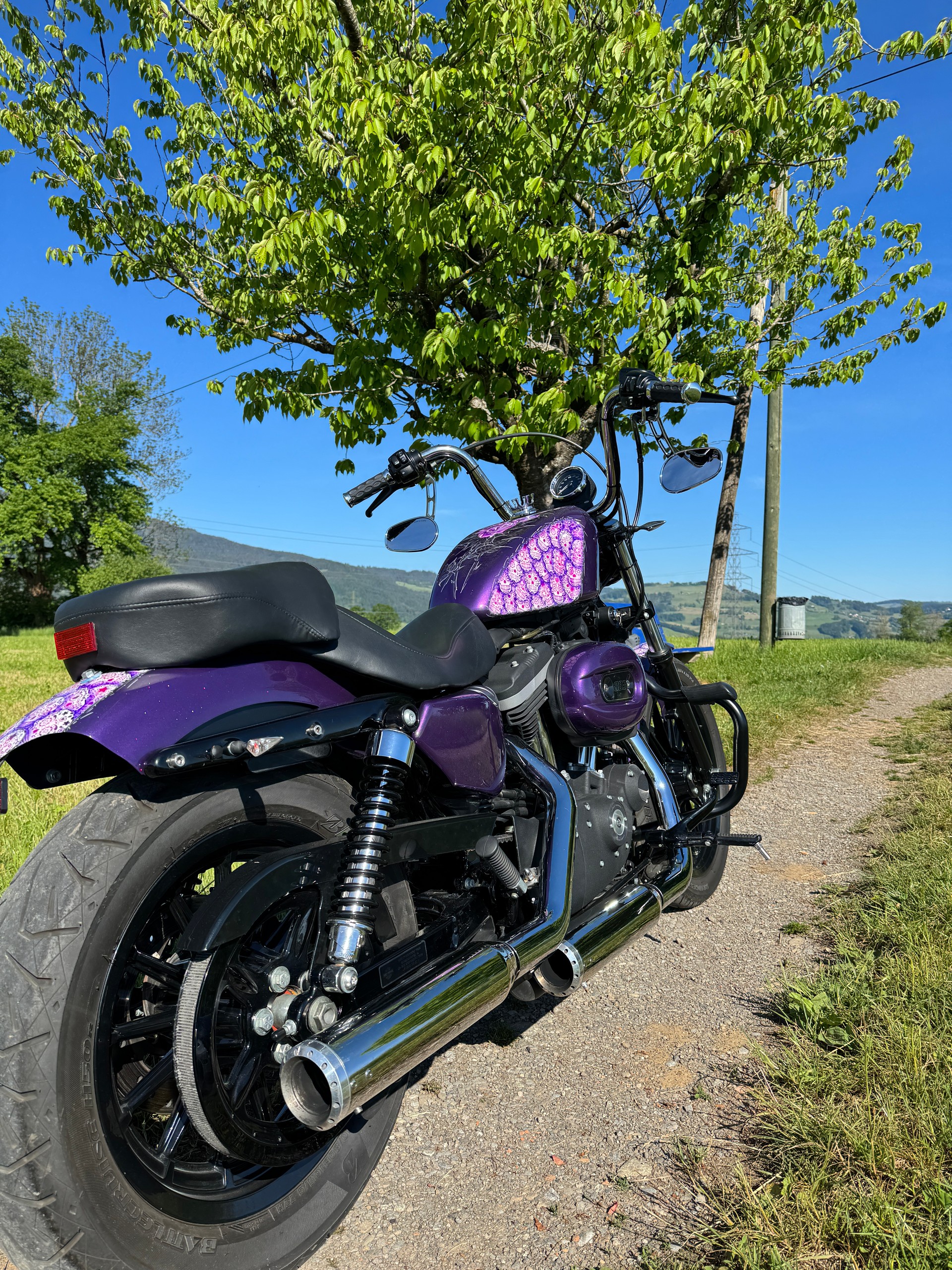 HARLEY-DAVIDSON XL 883 N Sportster Iron-image-4