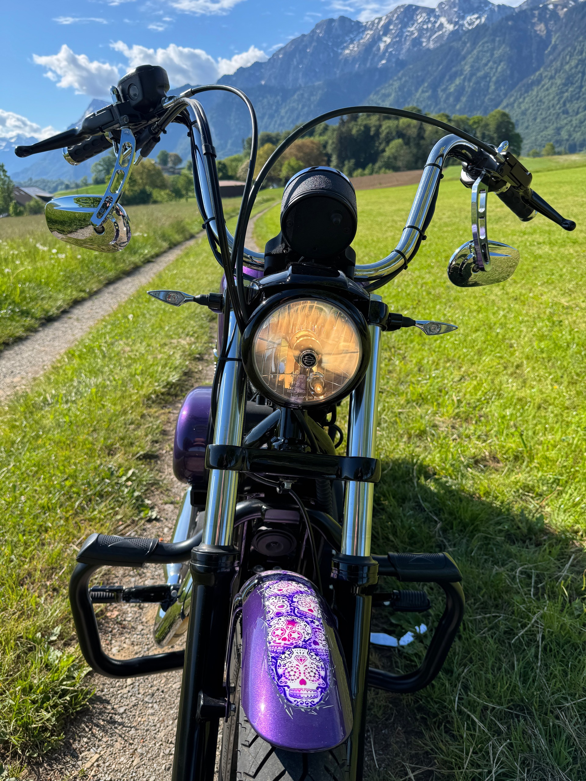 HARLEY-DAVIDSON XL 883 N Sportster Iron-image-2