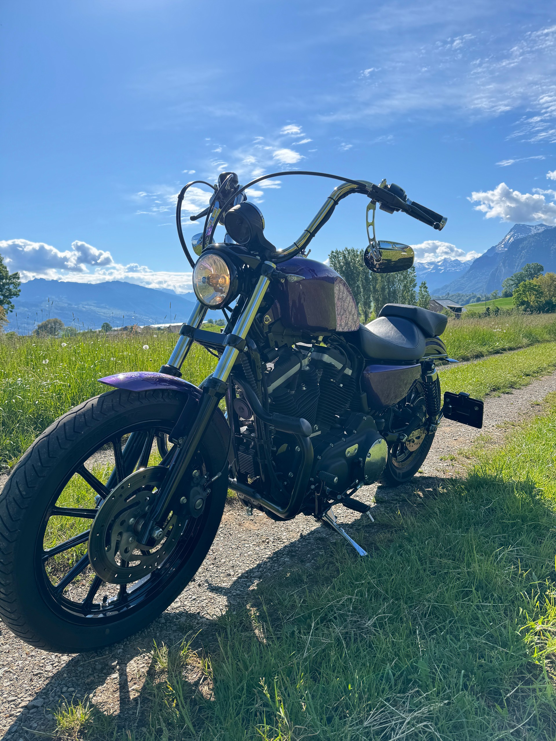 HARLEY-DAVIDSON XL 883 N Sportster Iron-image-10
