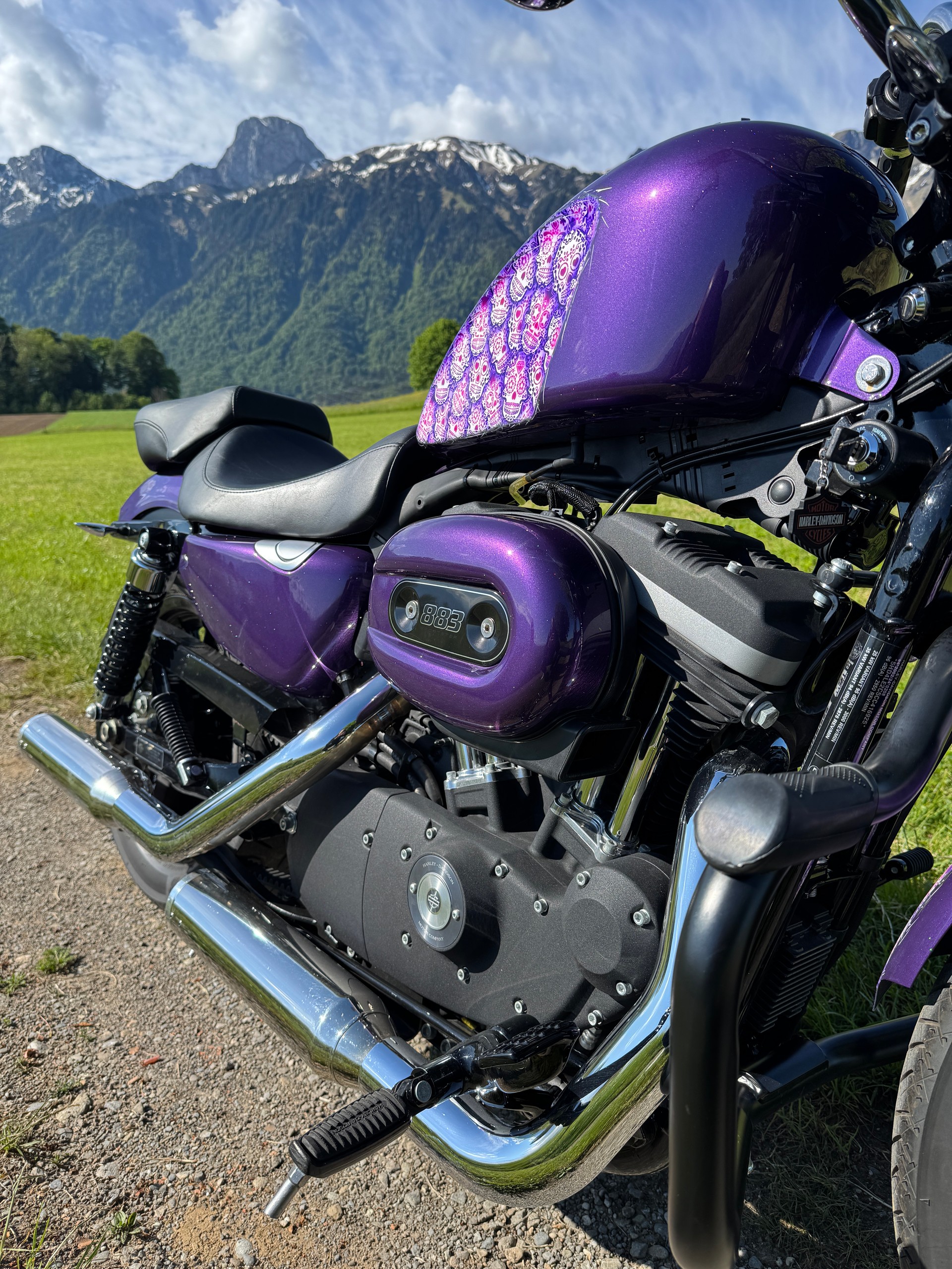 HARLEY-DAVIDSON XL 883 N Sportster Iron-image-8