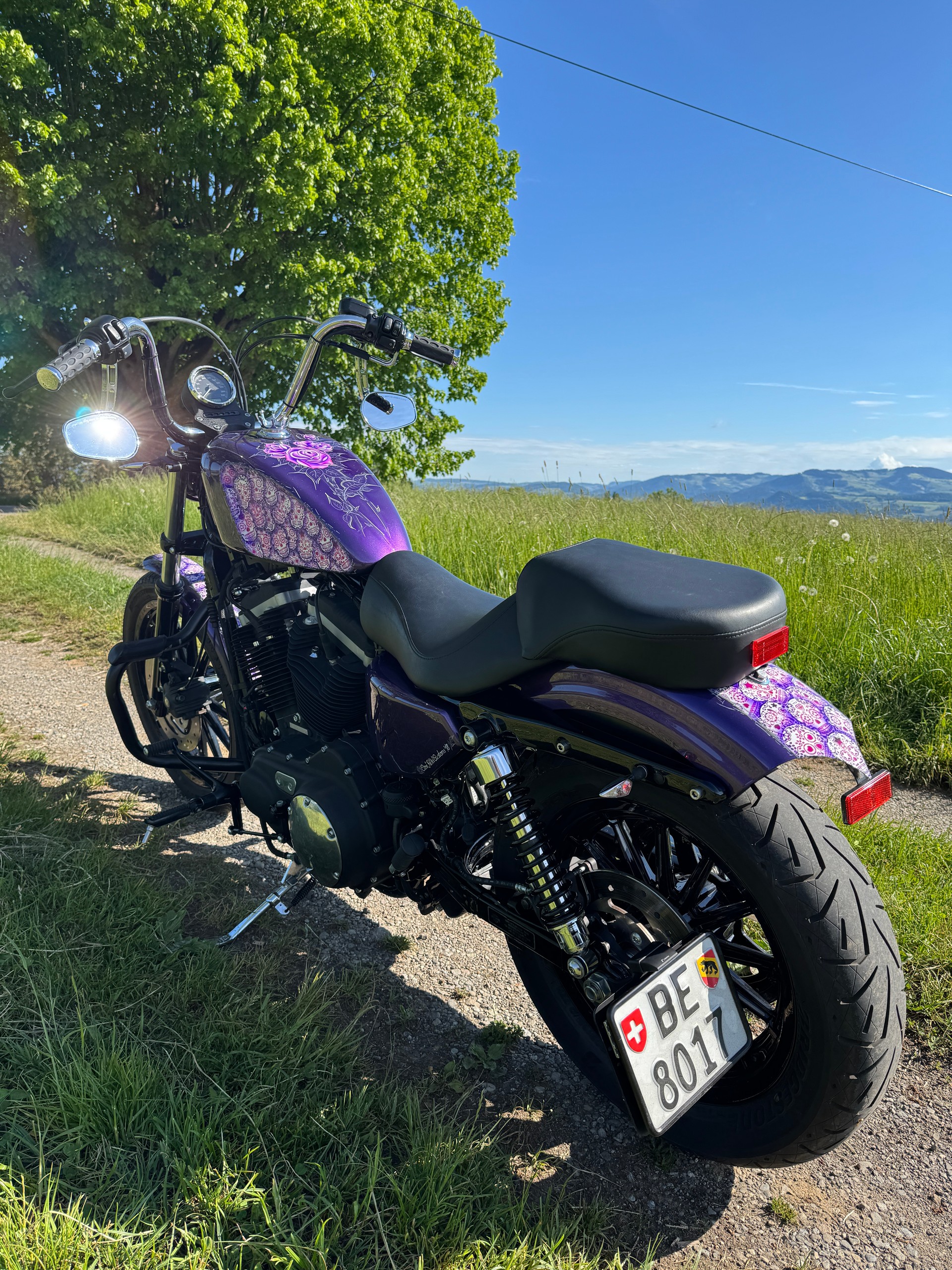 HARLEY-DAVIDSON XL 883 N Sportster Iron-image-5