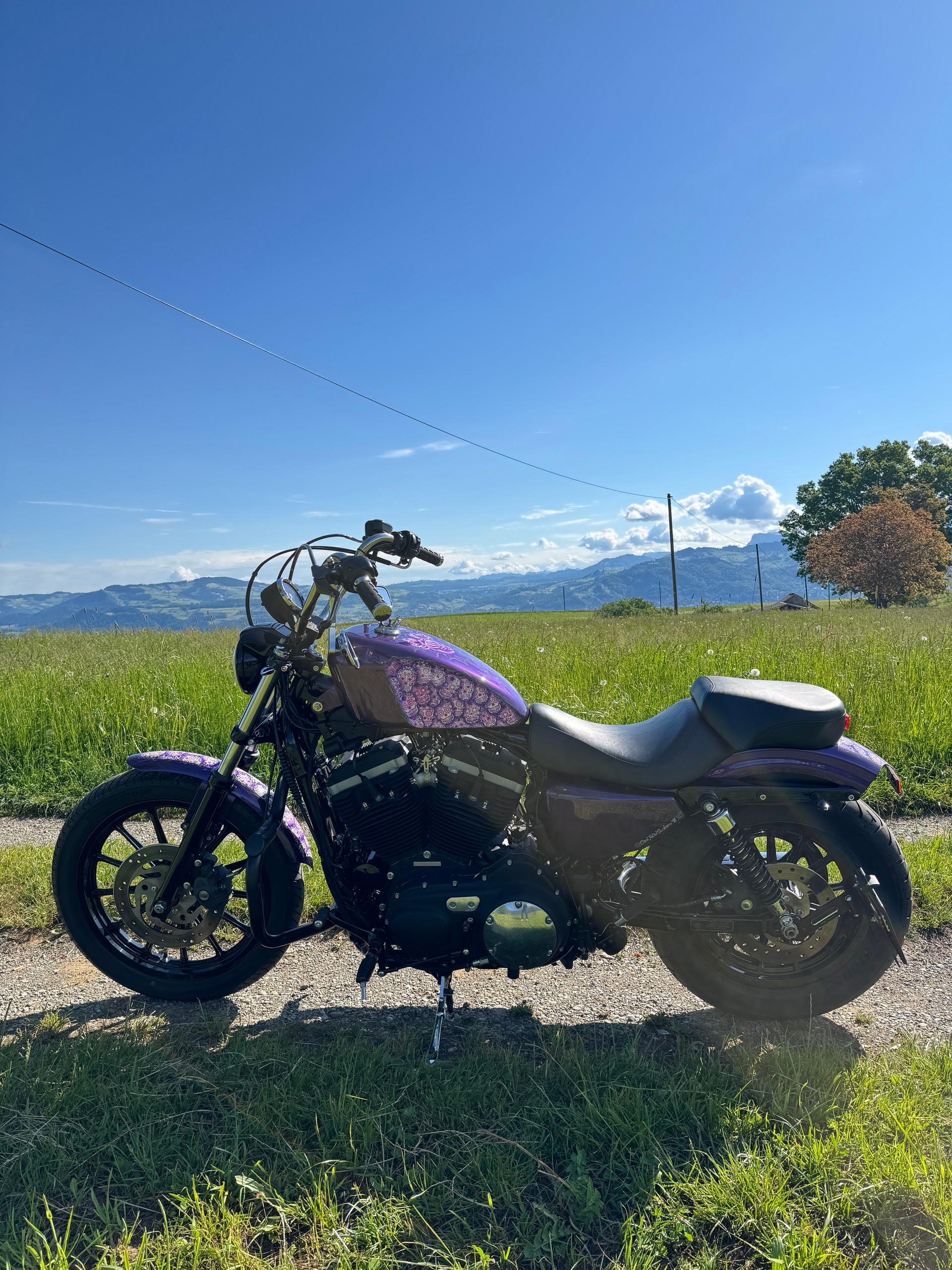HARLEY-DAVIDSON XL 883 N Sportster Iron-image-1
