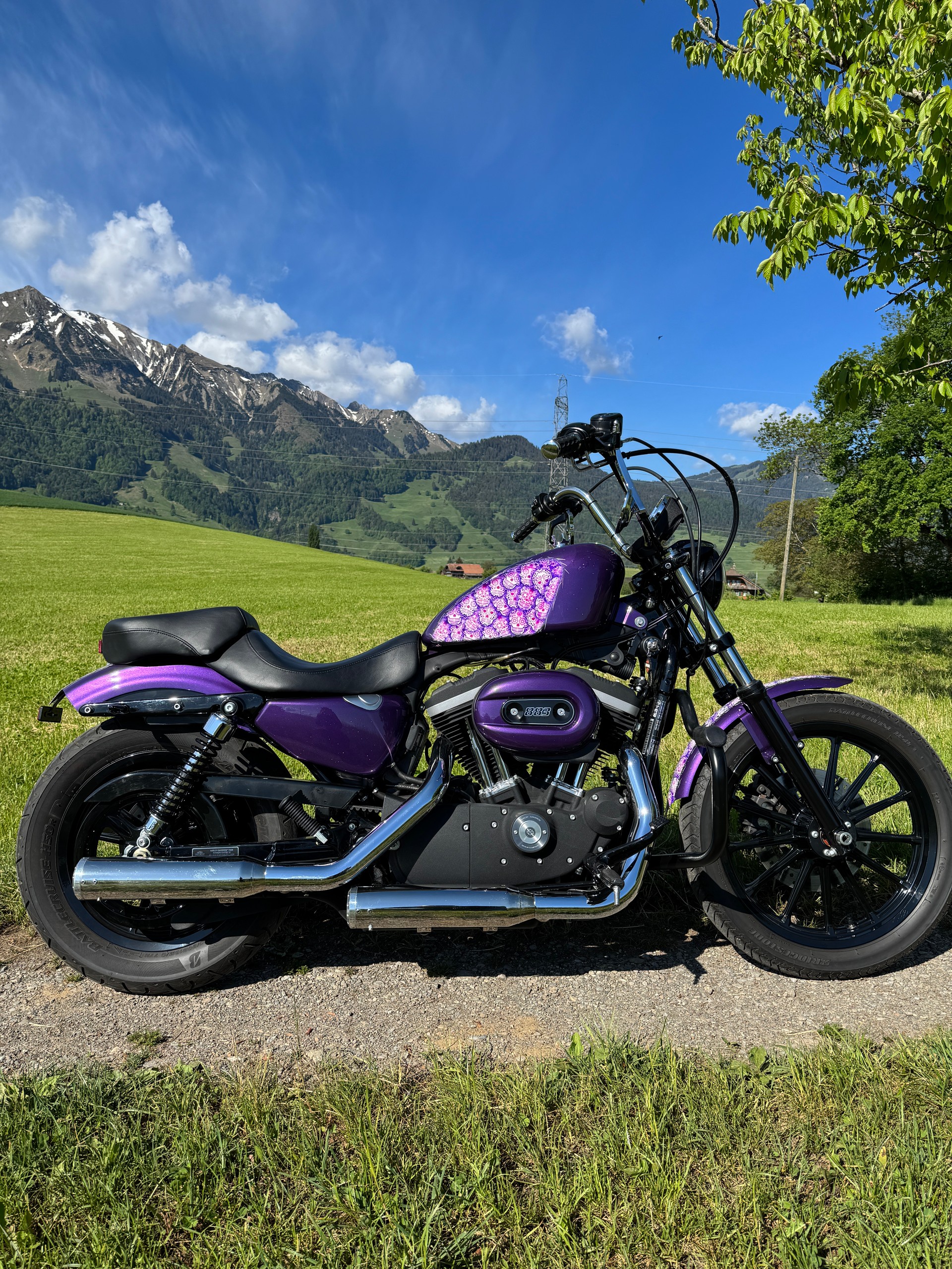 HARLEY-DAVIDSON XL 883 N Sportster Iron