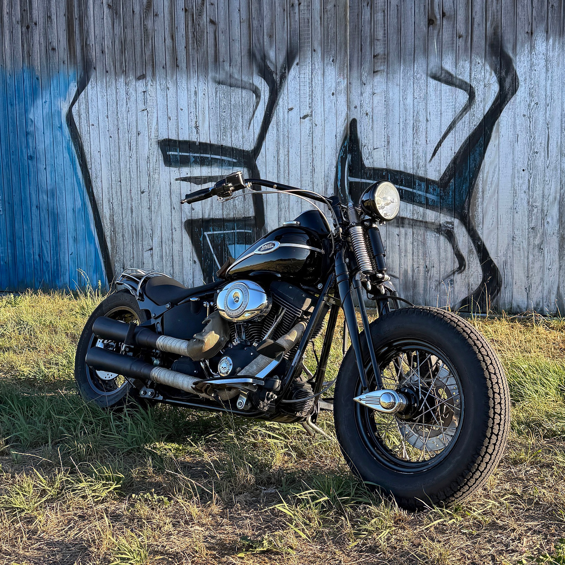 HARLEY-DAVIDSON FLSTSCI Springer Classic-image-3