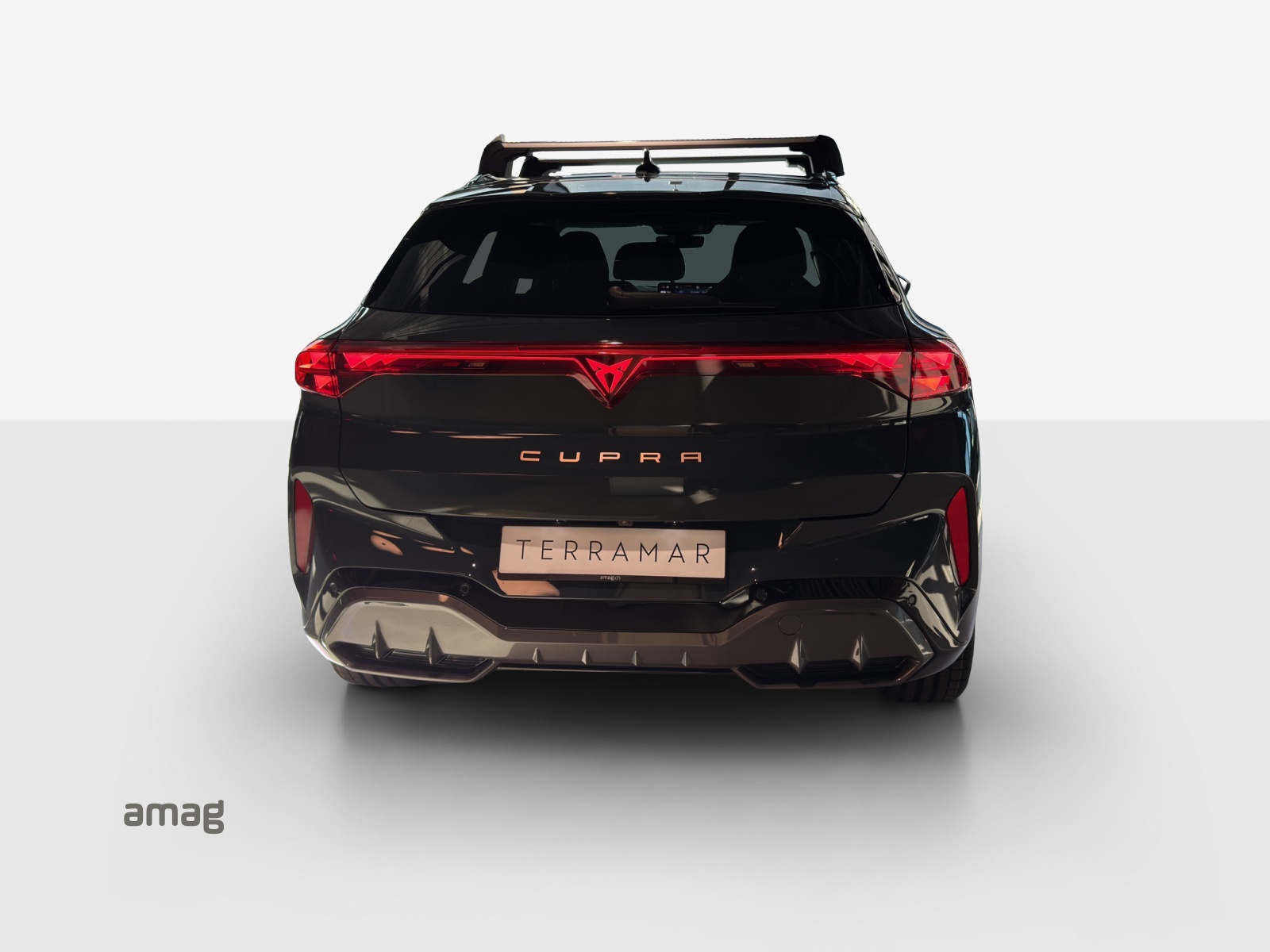 CUPRA Terramar 2.0 TSI DSG 4Drive VZ-showroom-element-3