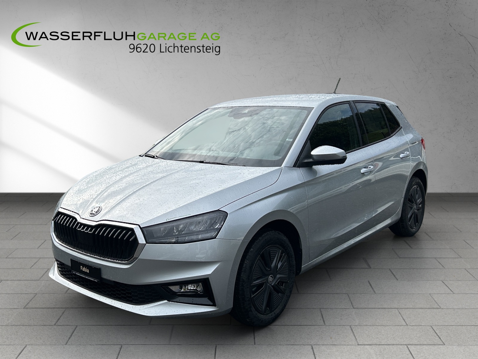SKODA Fabia 1.0 TSI Selection DSG-showroom-element-3