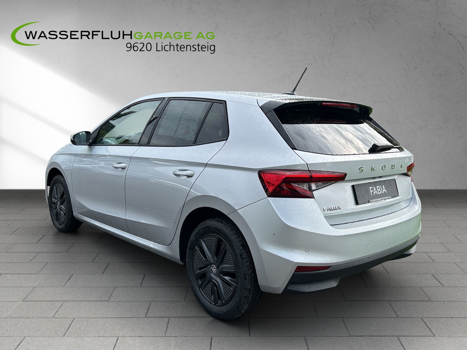 SKODA Fabia 1.0 TSI Selection DSG-showroom-element-1