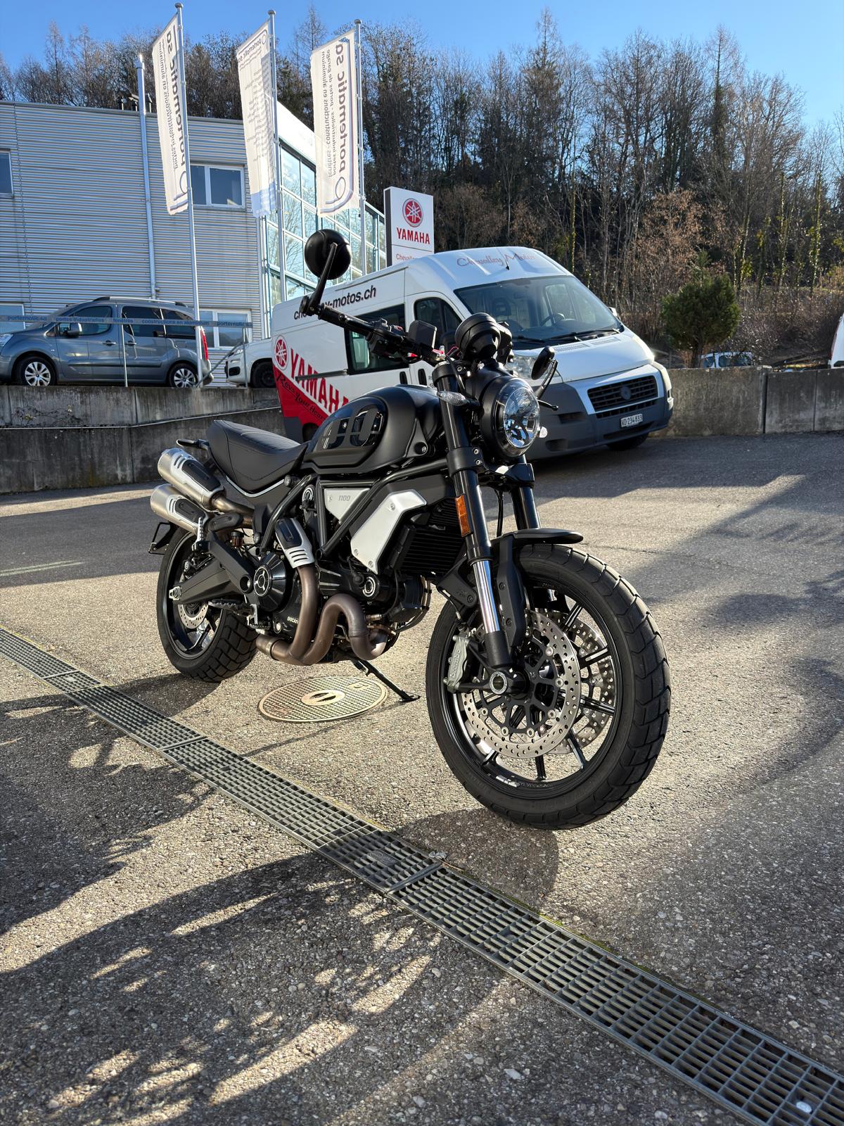 DUCATI Scrambler 1100 Dark Pro / DEPOT-VENTE-image-1