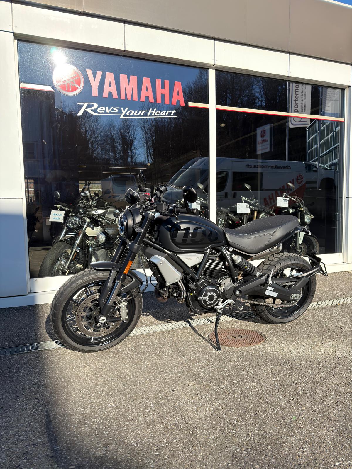 DUCATI Scrambler 1100 Dark Pro / DEPOT-VENTE-image-4