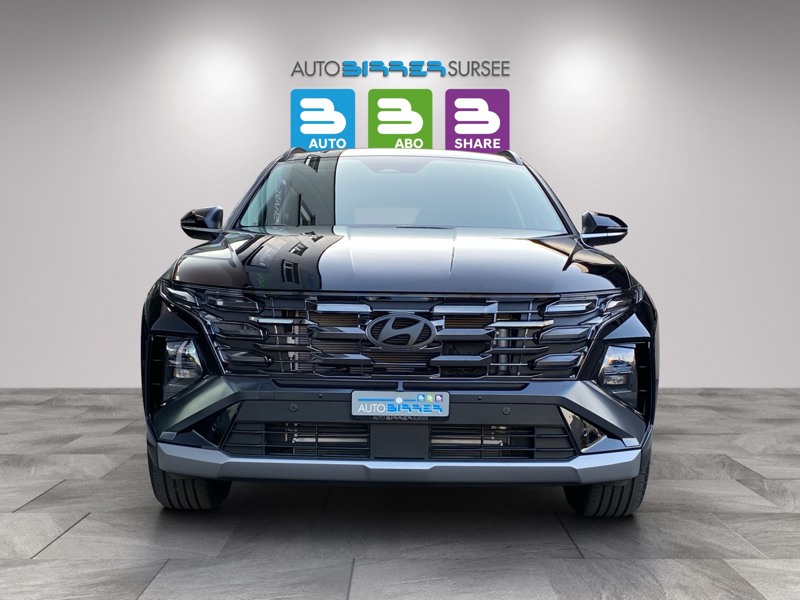HYUNDAI Tucson 1.6 T-GDi HEV Amplia 4WD-showroom-element-1