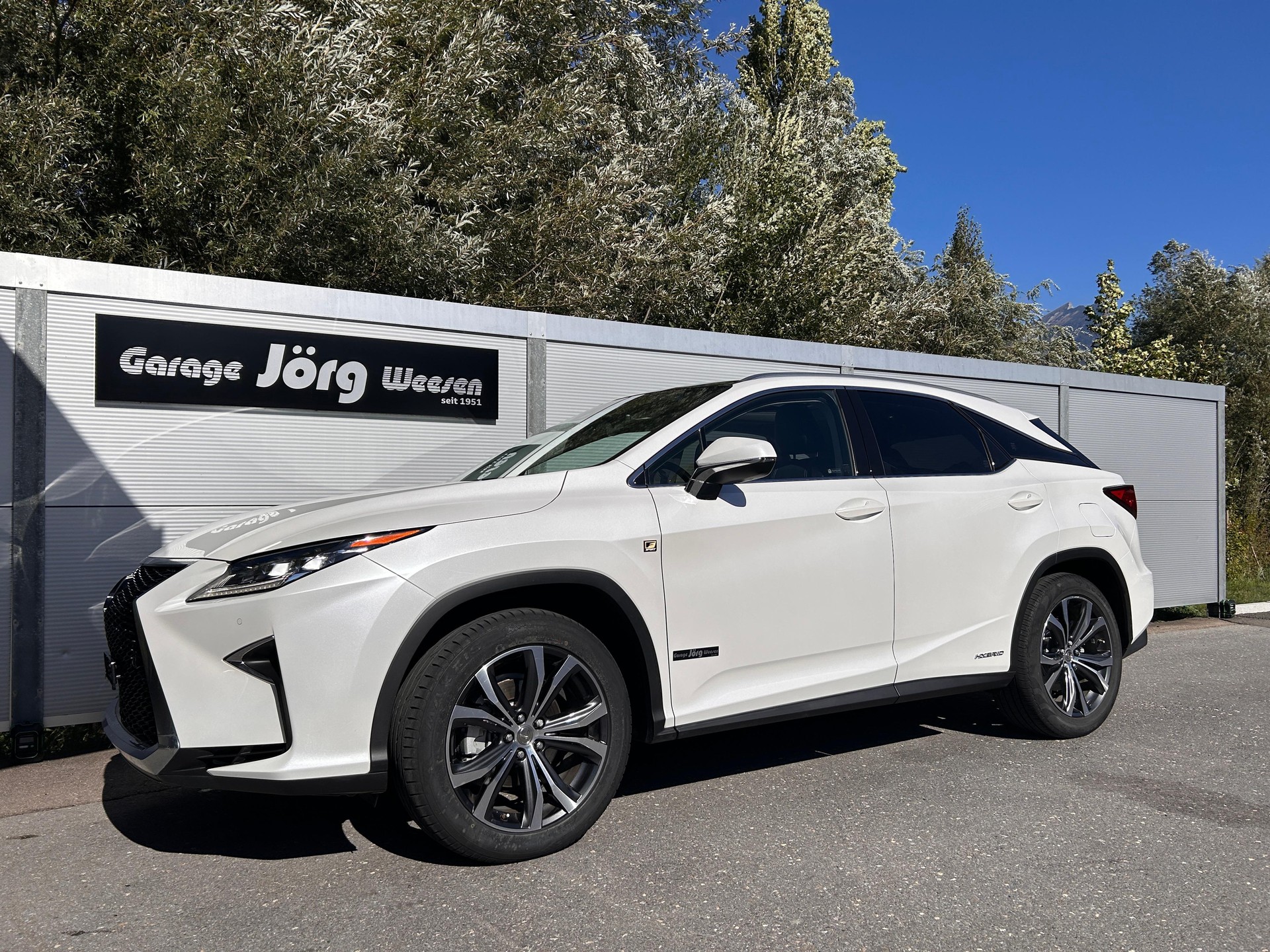 LEXUS RX 450h Diamond F-Sport