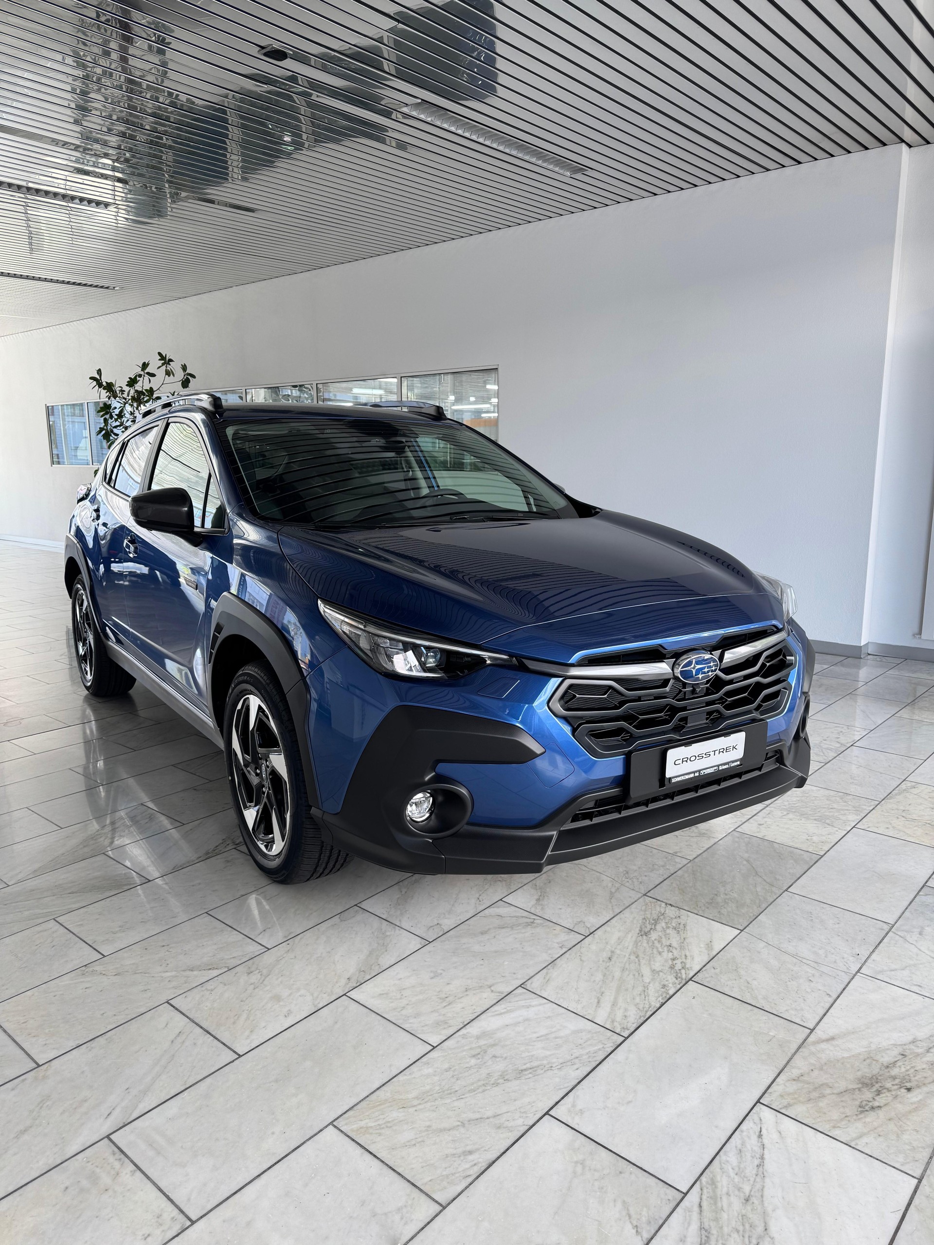 SUBARU Crosstrek 2.0 e-Boxer Passion AWD Lineartronic