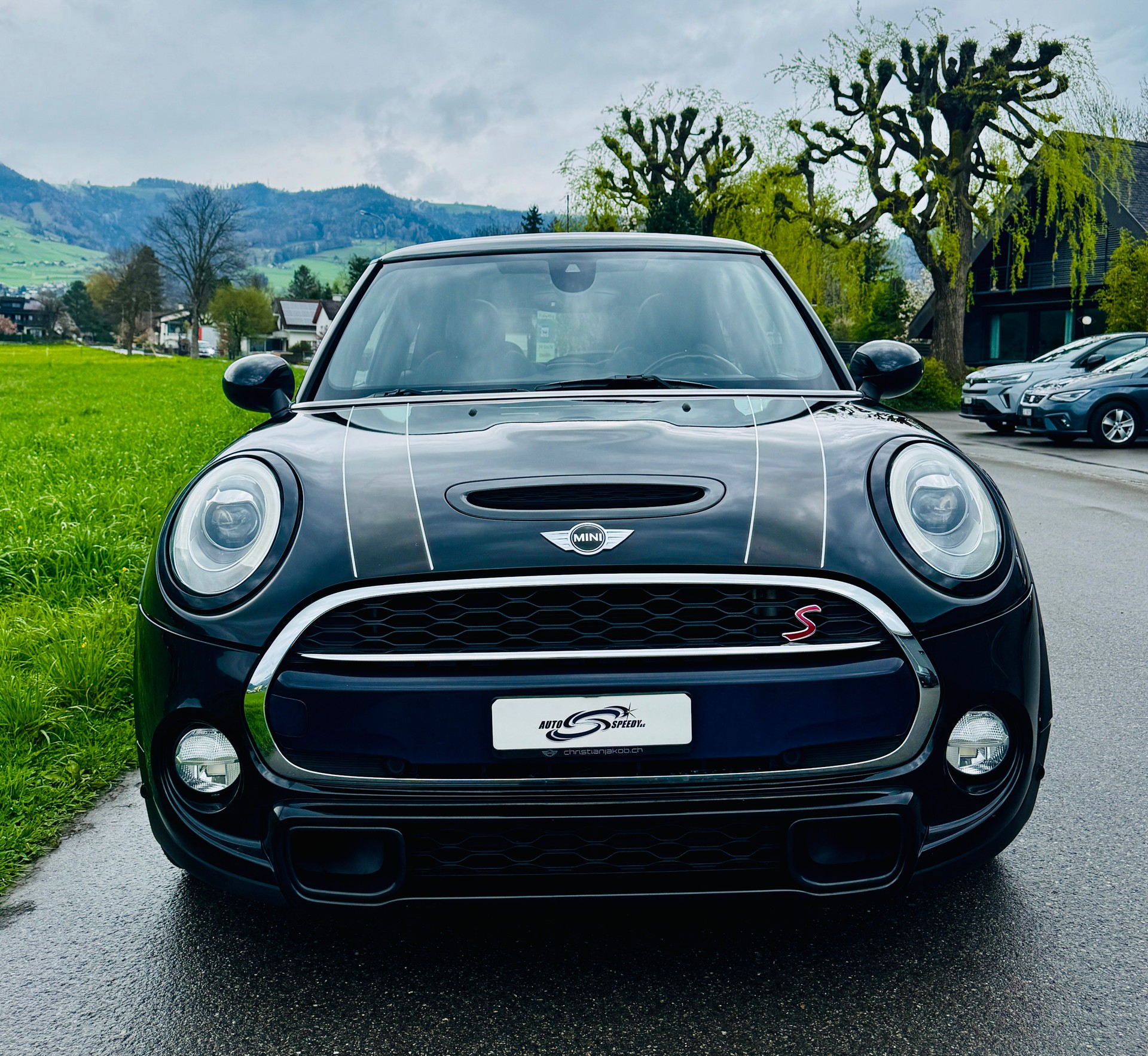 MINI Cooper S-showroom-element-3