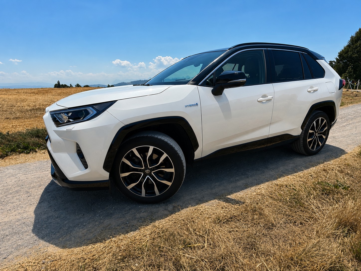 TOYOTA 2.5 HEV Style-image-3