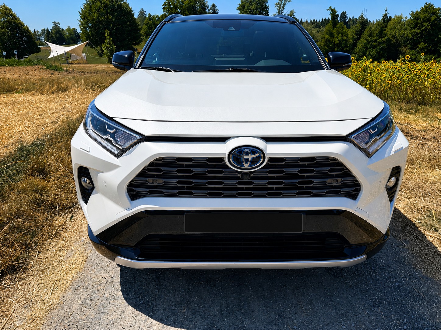 TOYOTA 2.5 HEV Style-image-1