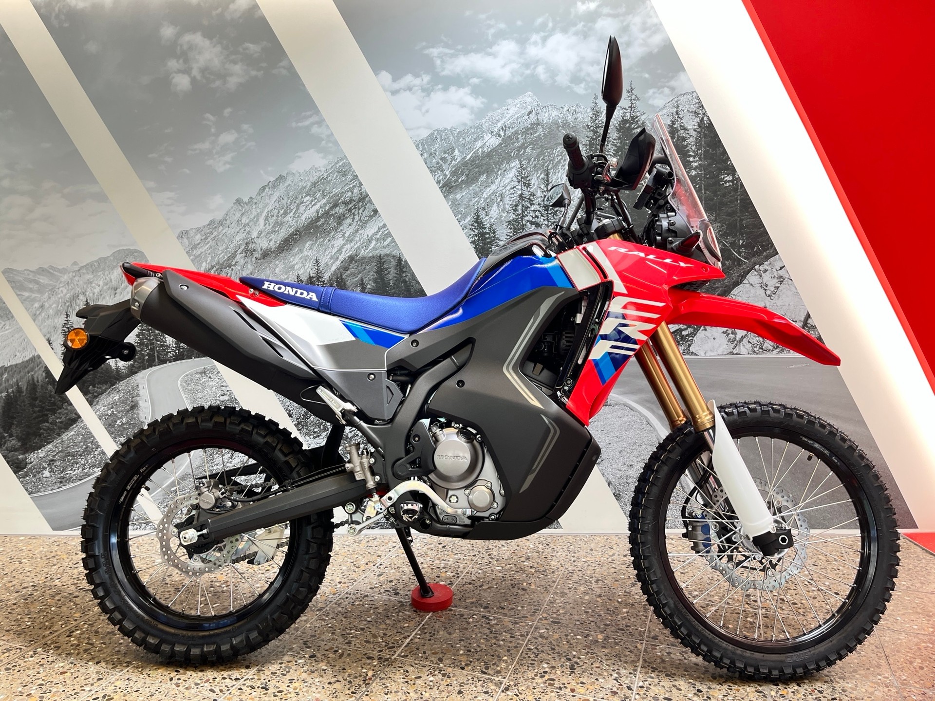 HONDA CRF 300 RL Rally-image-0