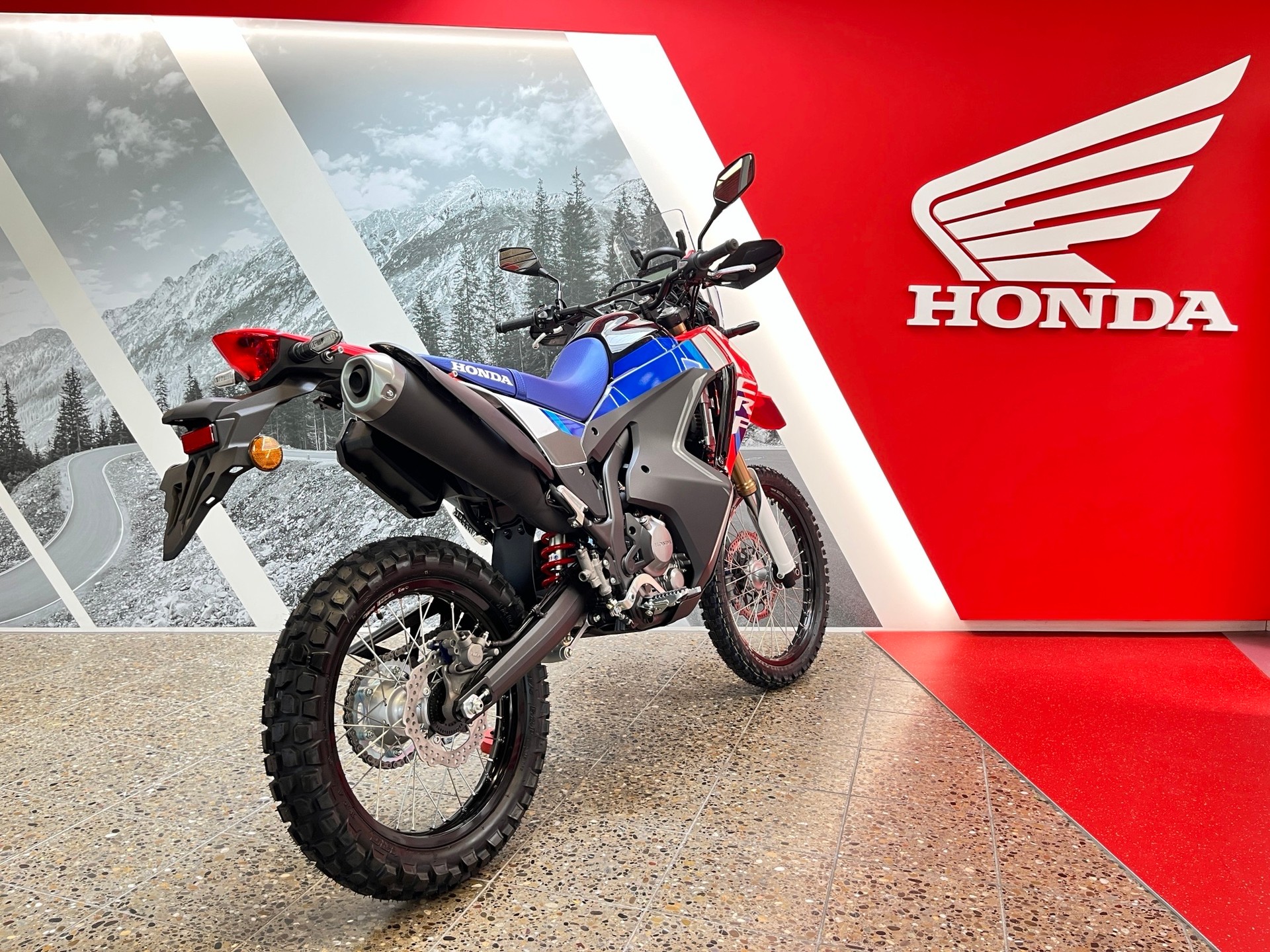 HONDA CRF 300 RL Rally-image-3
