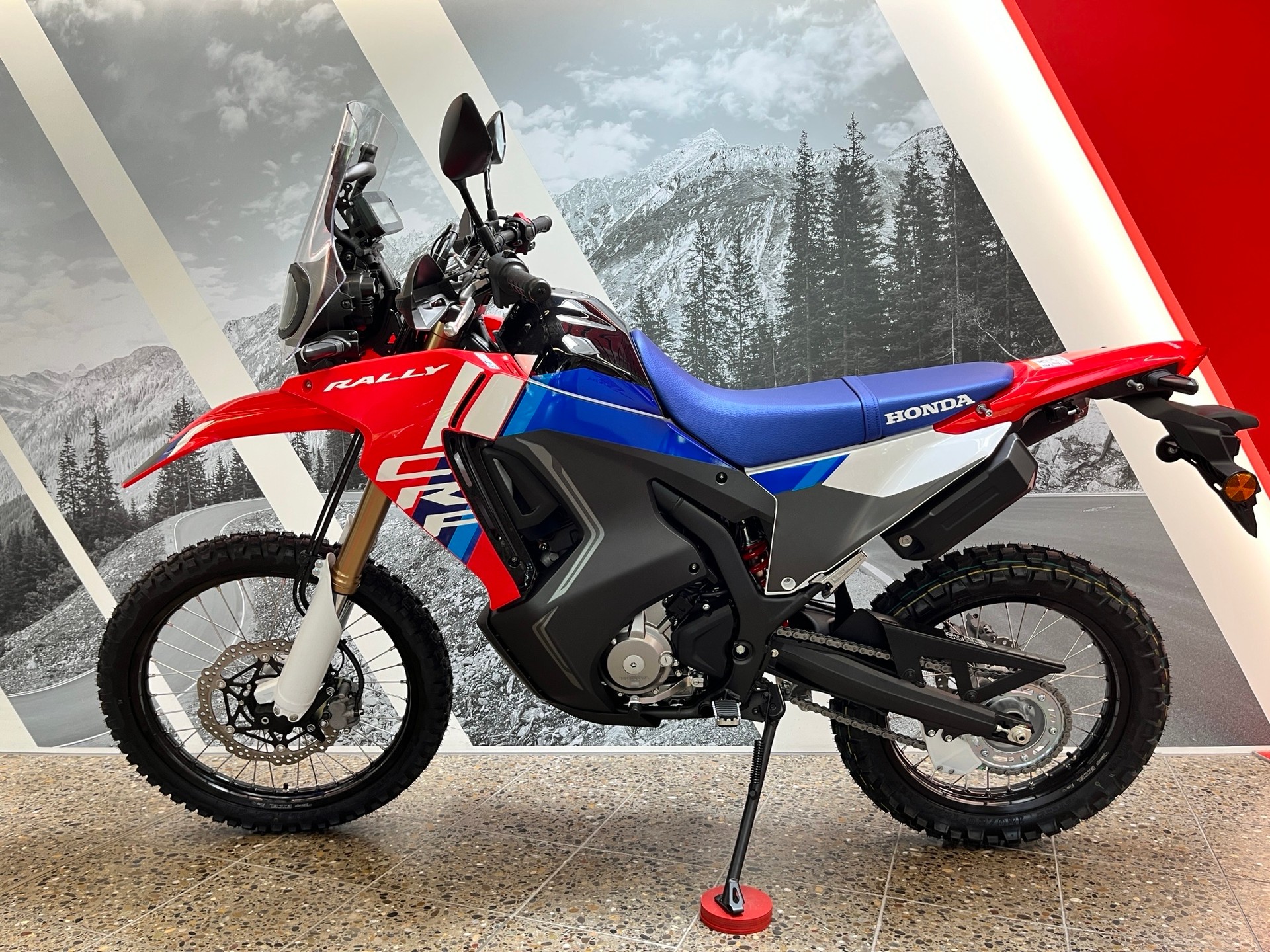 HONDA CRF 300 RL Rally-image-1