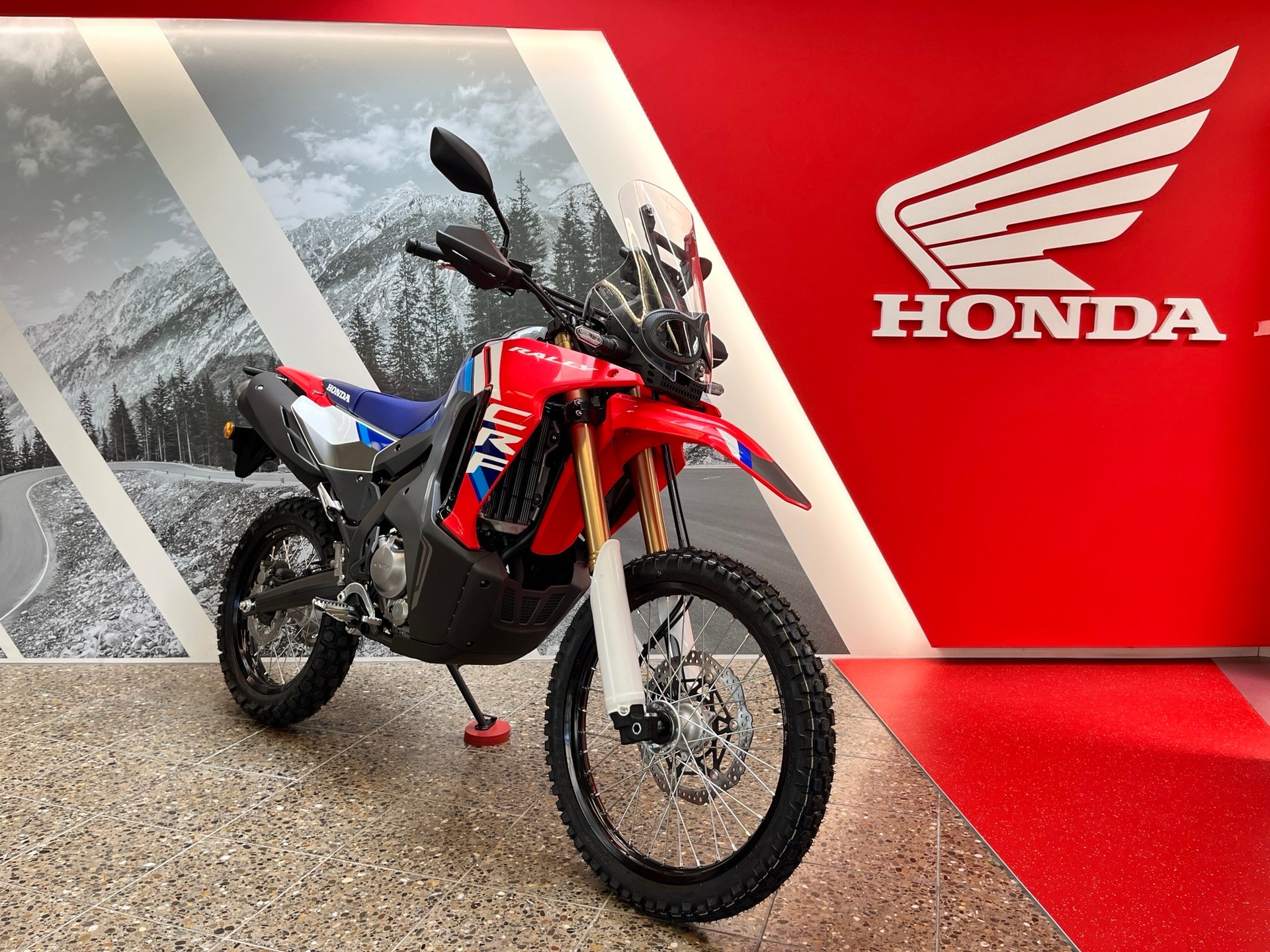 HONDA CRF 300 RL Rally-image-2