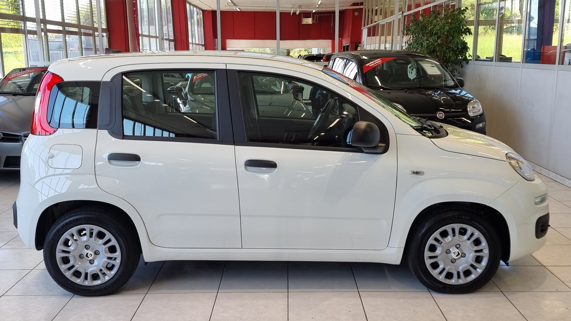 FIAT Panda 1.0 Hybrid City Life-image-6