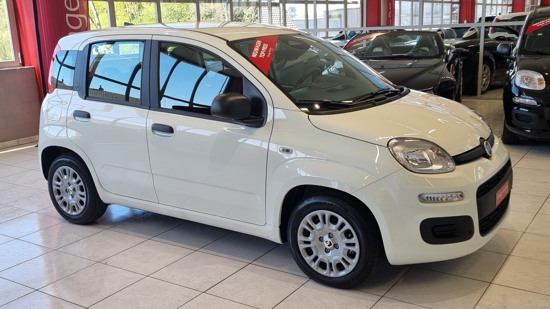 FIAT Panda 1.0 Hybrid City Life-image-7