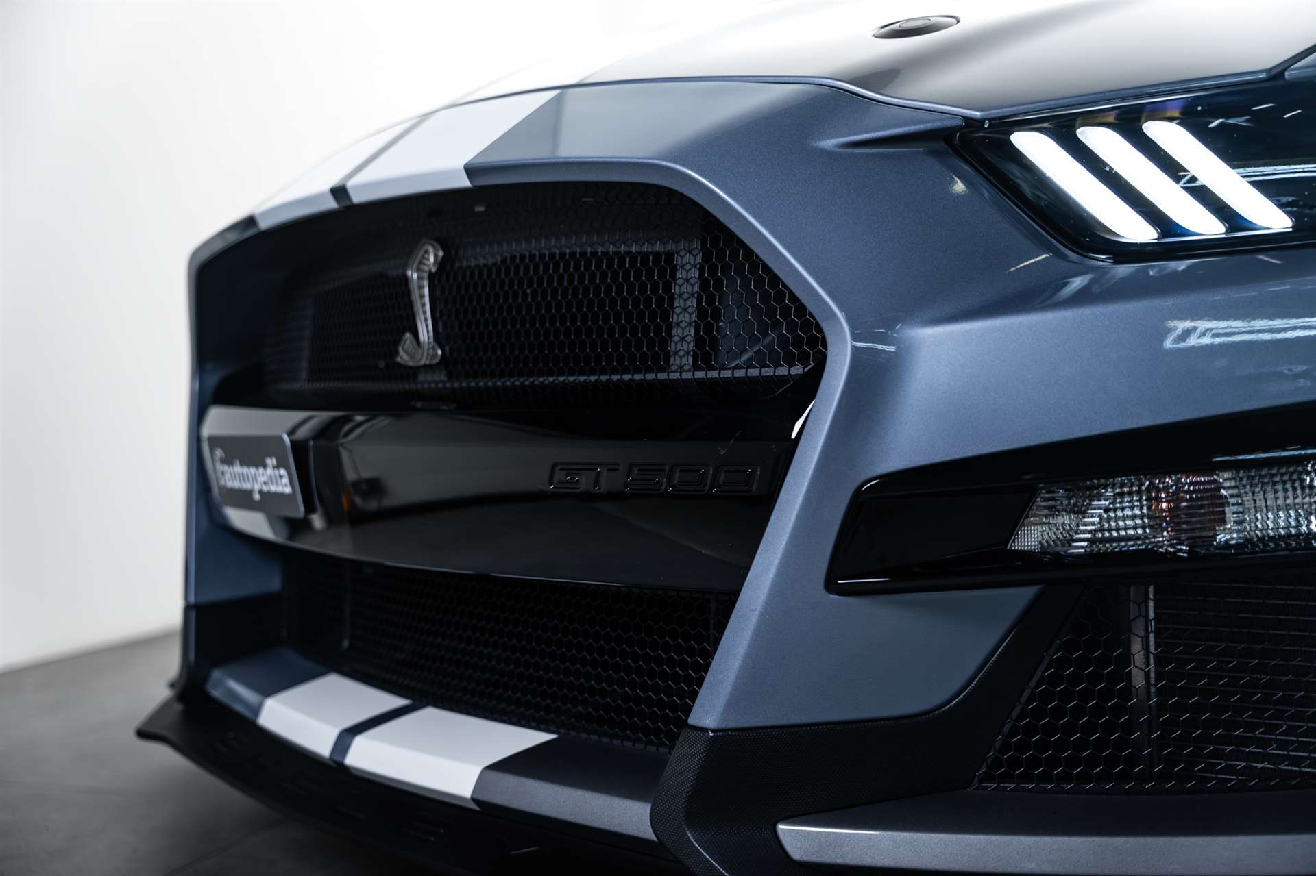 FORD Mustang Shelby GT 500 Heritage USA-showroom-element-2