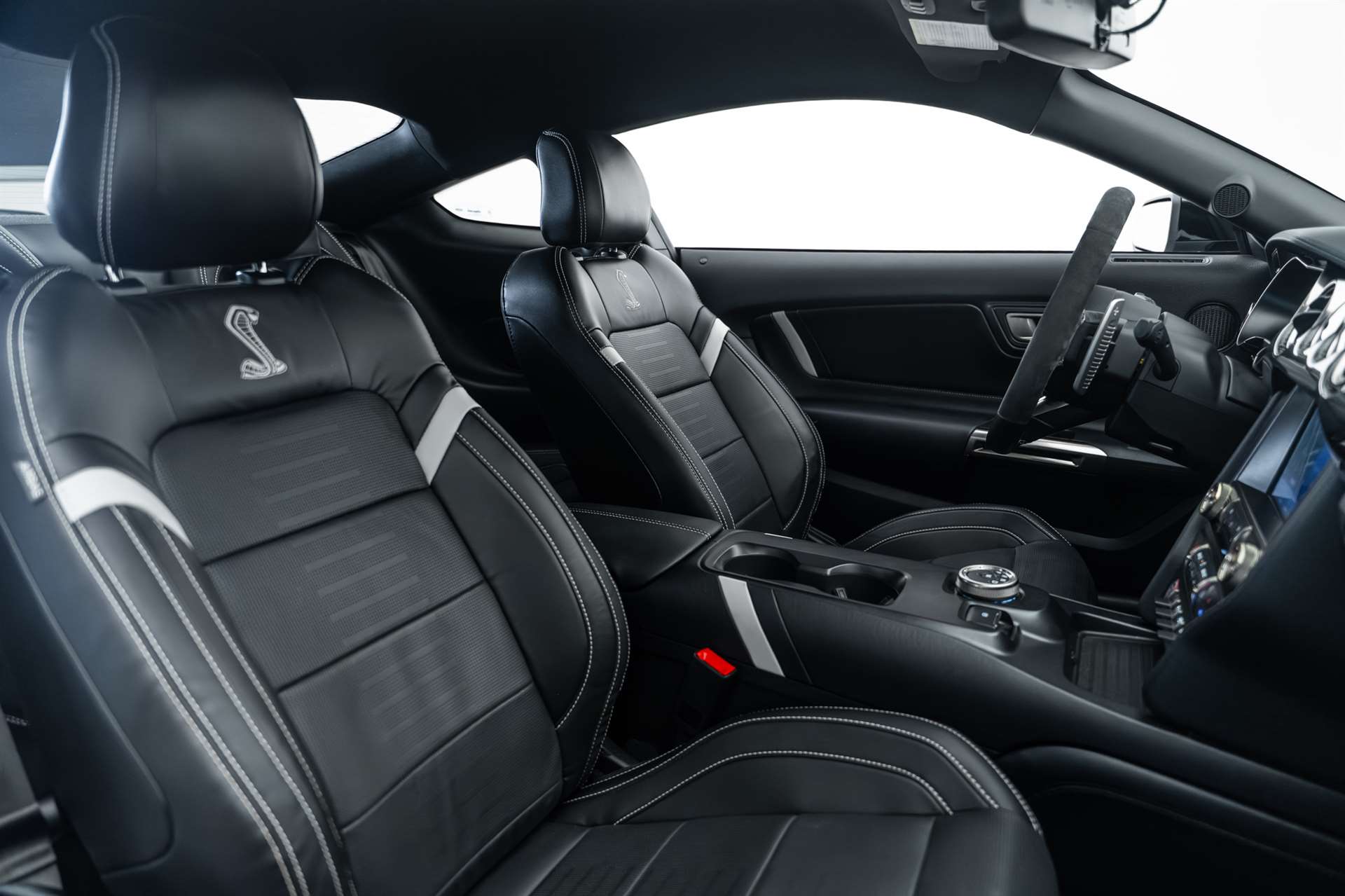 FORD Mustang Shelby GT 500 Heritage USA-image-13