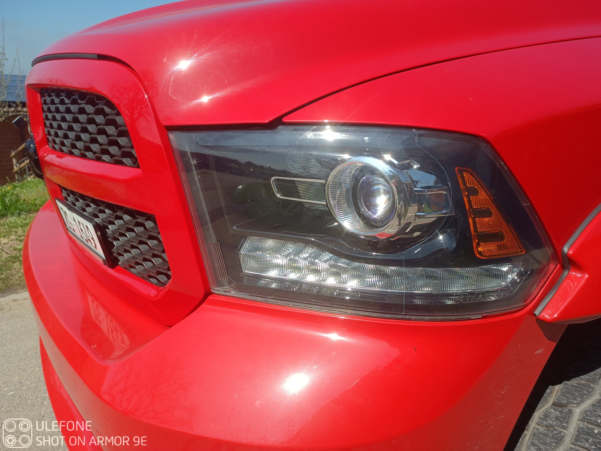 DODGE Regular Cap Sport 4x4 (Pick-up)-image-6