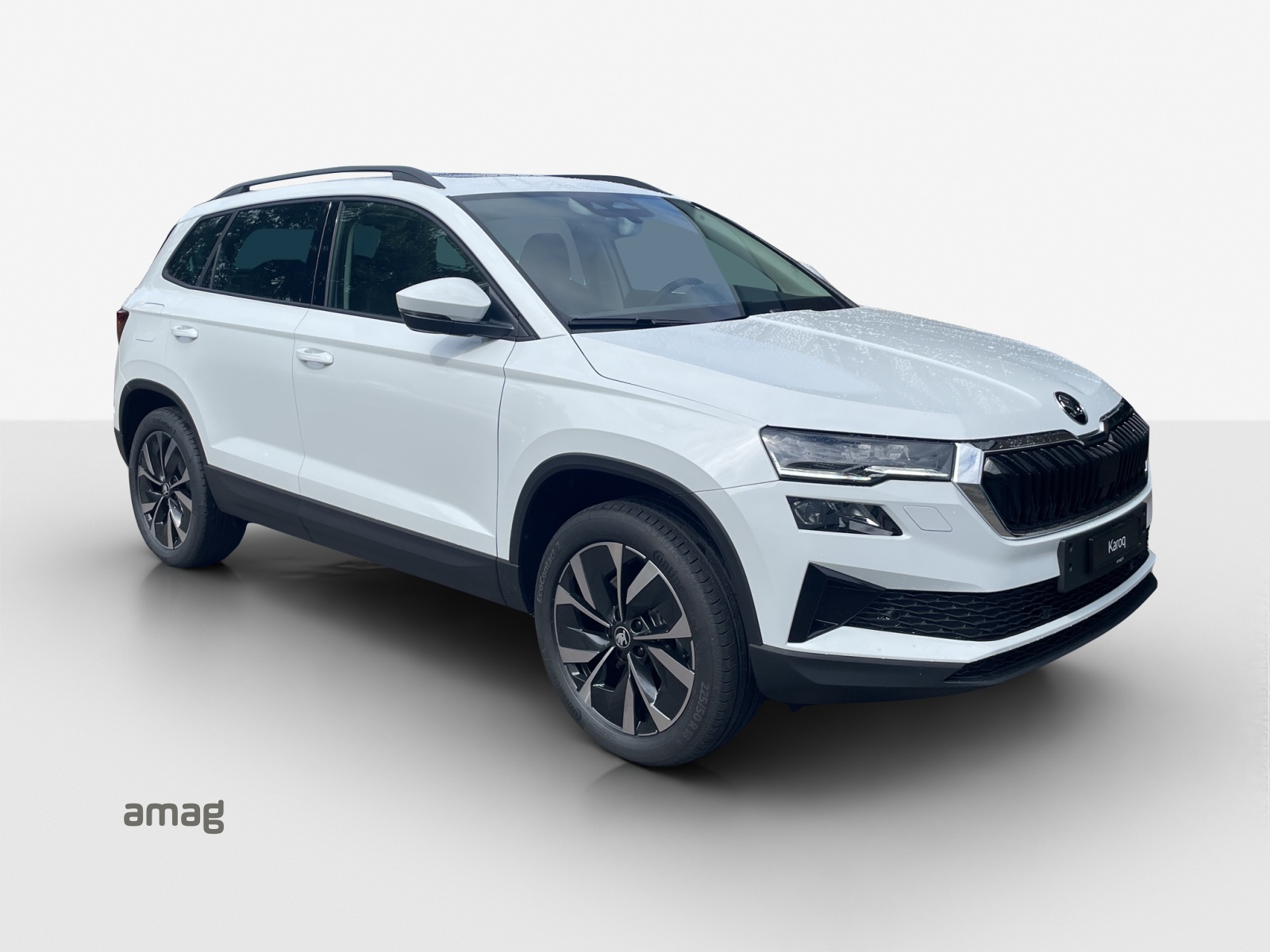 SKODA Karoq 2.0 TDI CR Selection 4x4 DSG-image-5