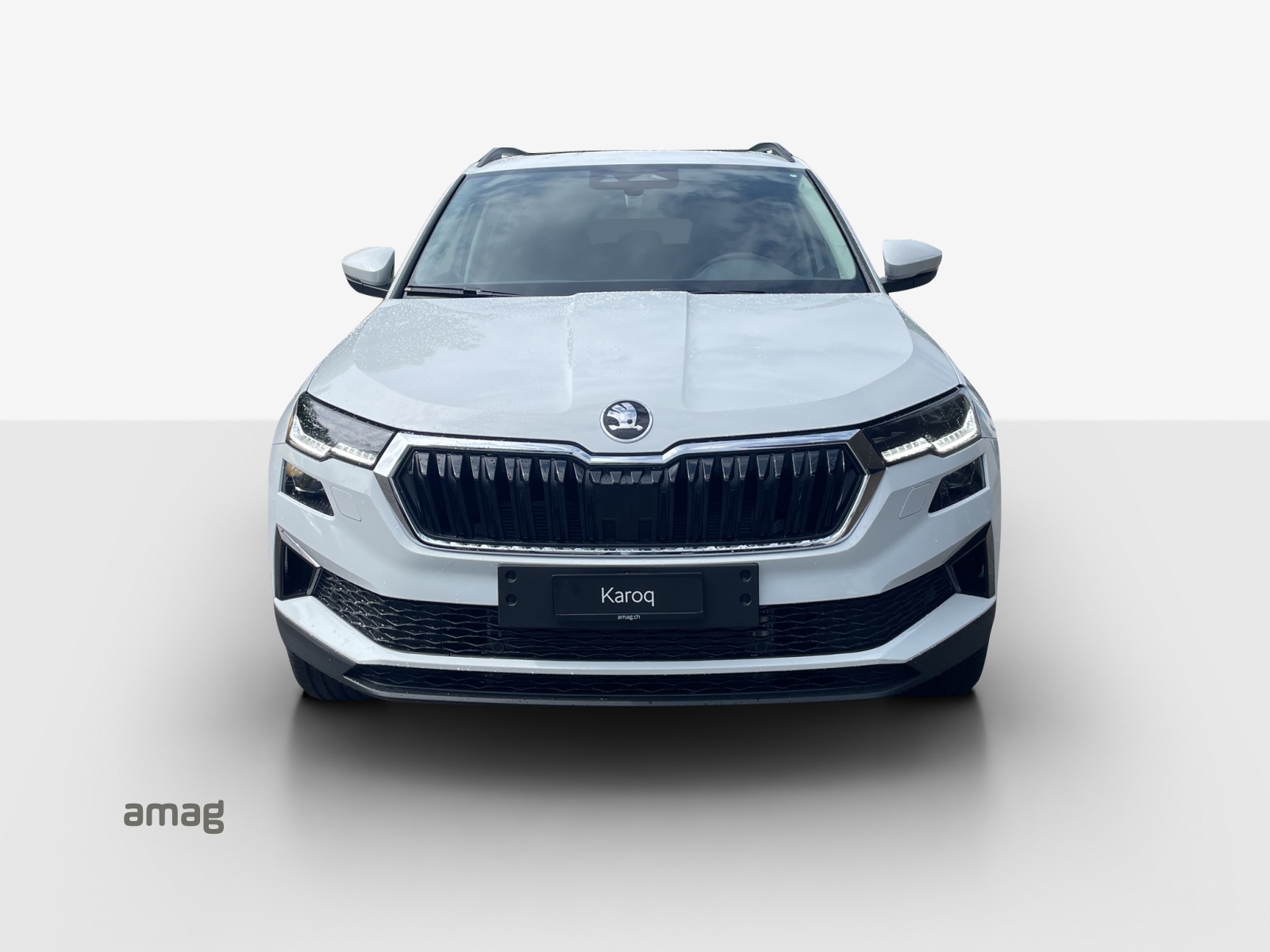 SKODA Karoq 2.0 TDI CR Selection 4x4 DSG-image-6