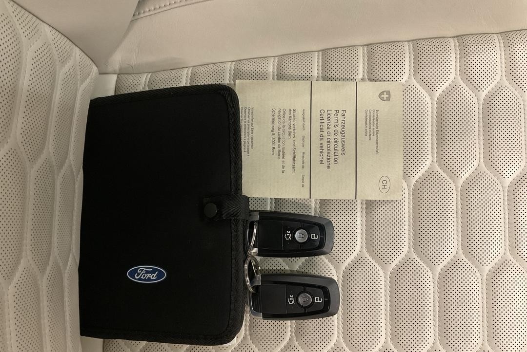 FORD Edge 2.0 EcoBlue Vignale 4WD Automatic-image-12
