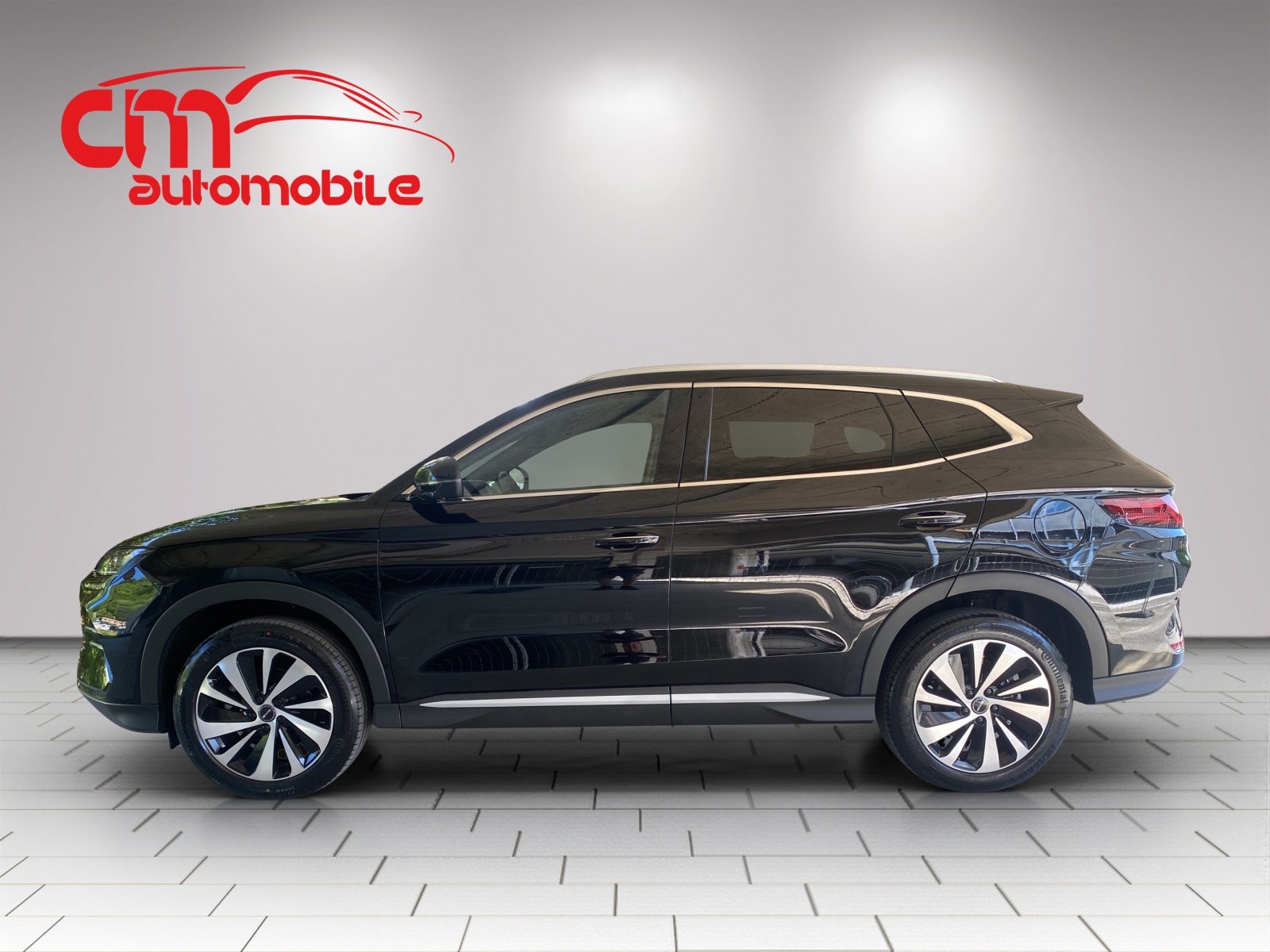 BYD Seal U DM-i Comfort-image-6