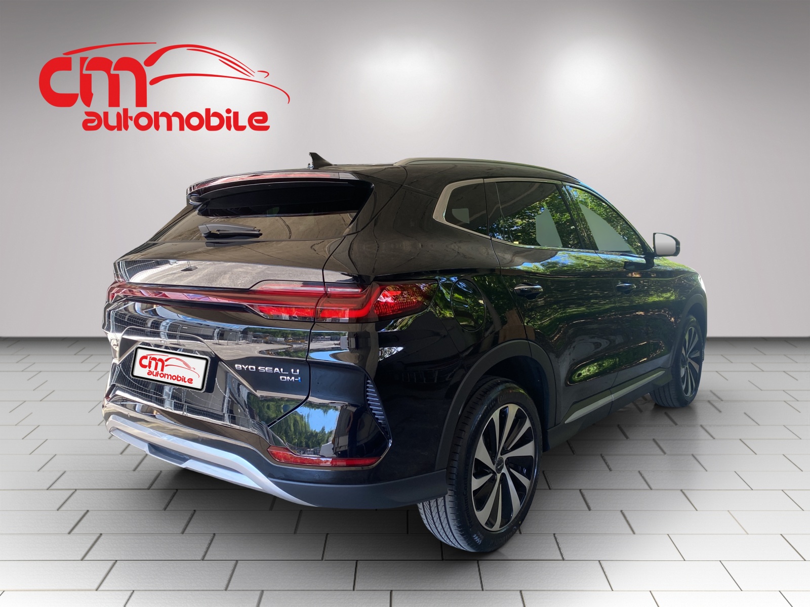 BYD Seal U DM-i Comfort-showroom-element-2