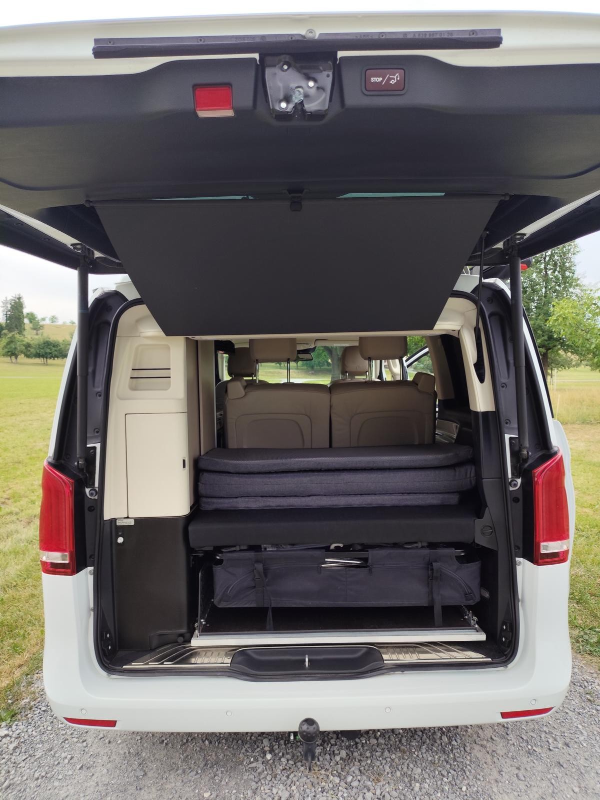 MERCEDES-BENZ Marco Polo 250 d 4Matic 7G-Tronic-image-20