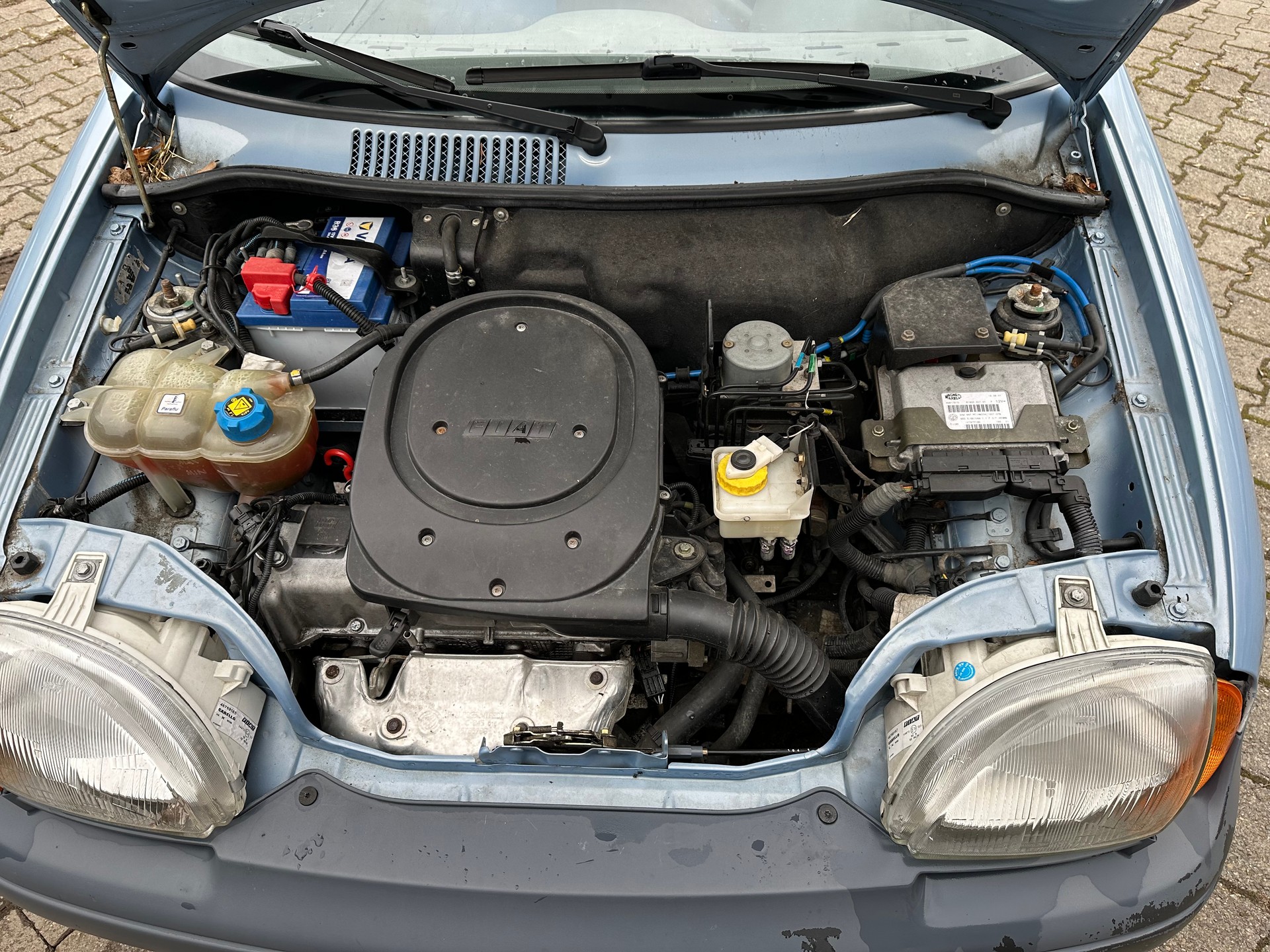 FIAT Seicento Brush FIXPREIS-image-19