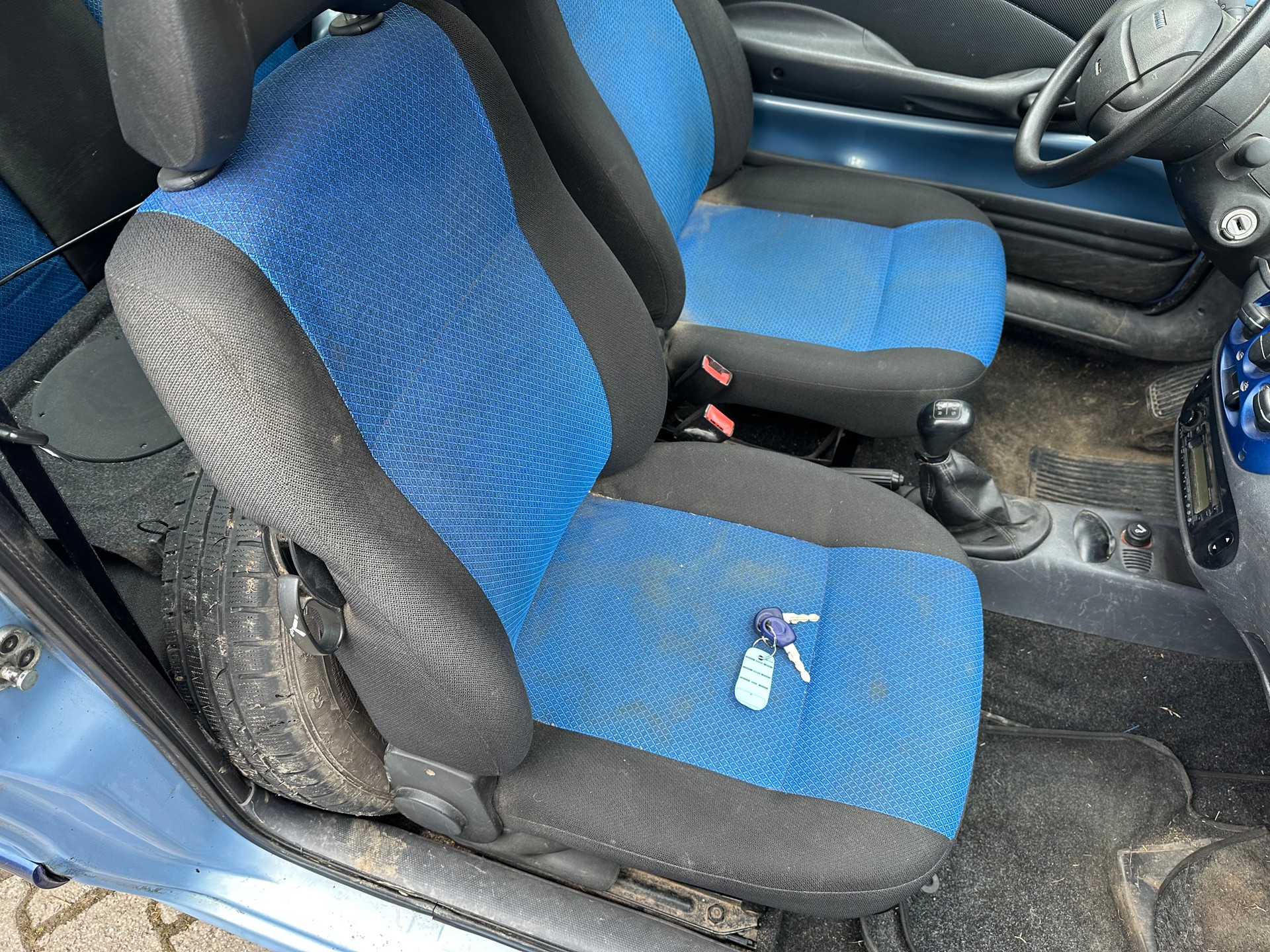 FIAT Seicento Brush FIXPREIS-image-15